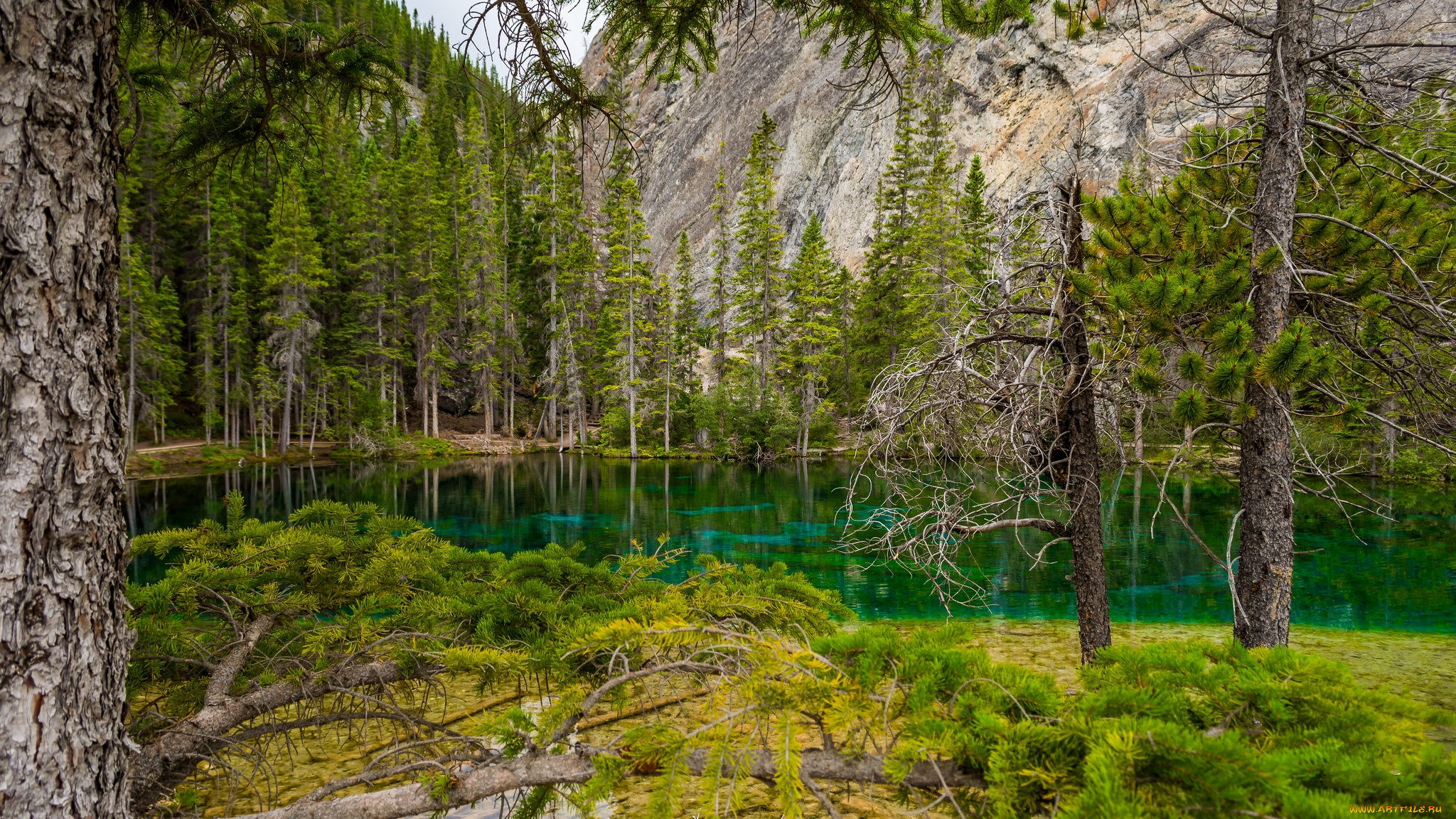 природа, реки, озера, река, лес, горы