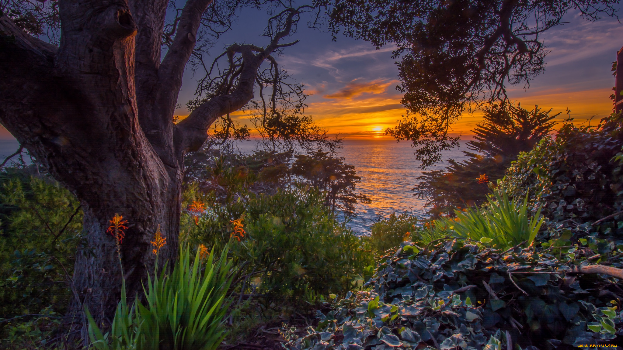 природа, восходы, закаты, рассвет