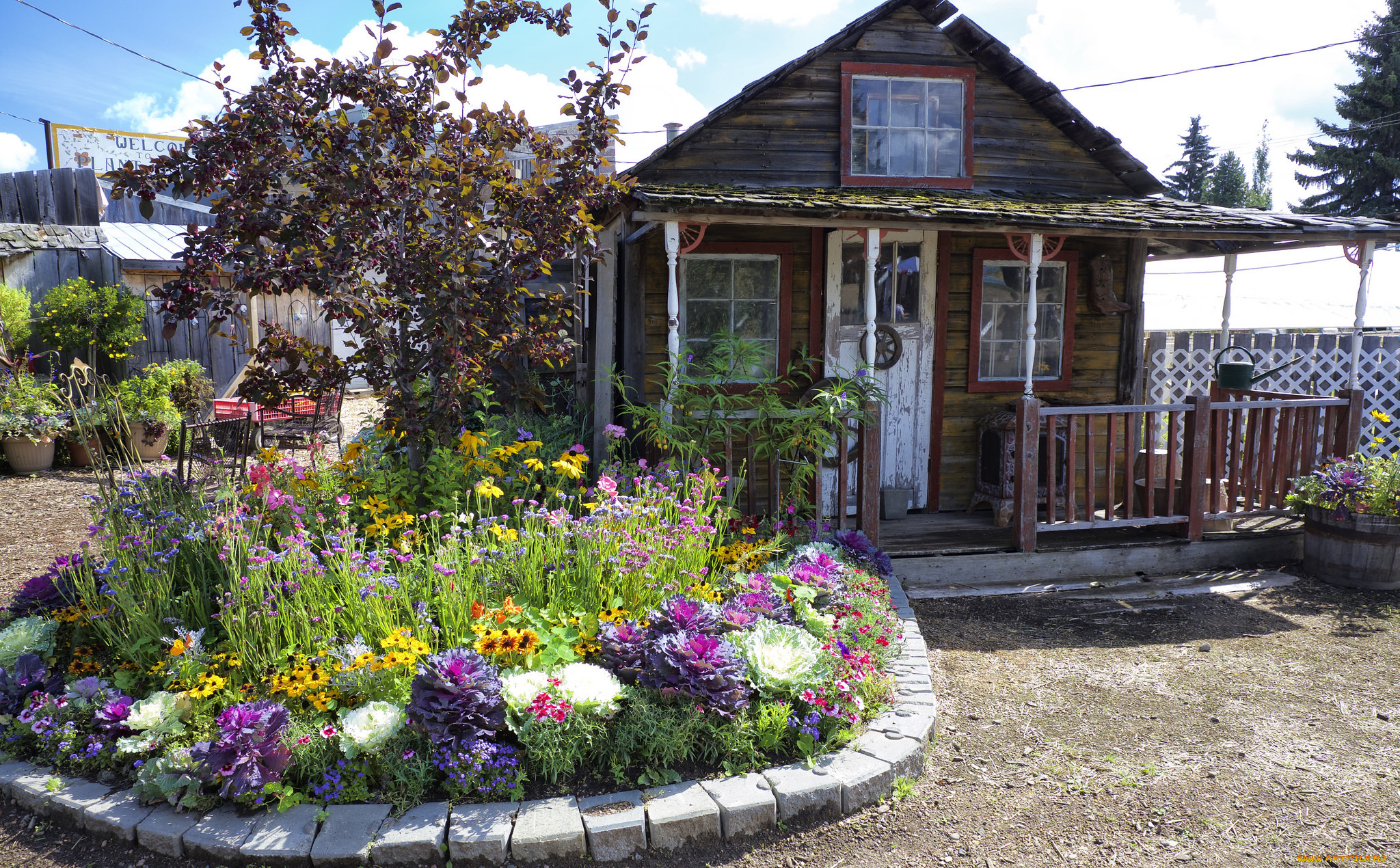 города, -, здания, , дома, цветы, клумба, дом