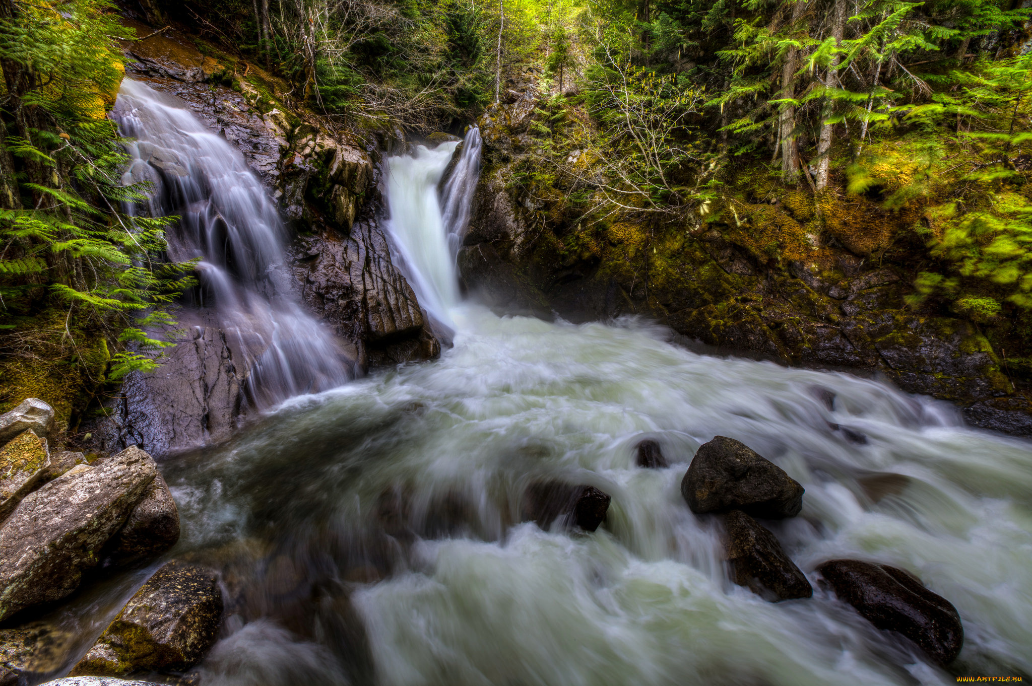 природа, водопады, лес, река, водопад
