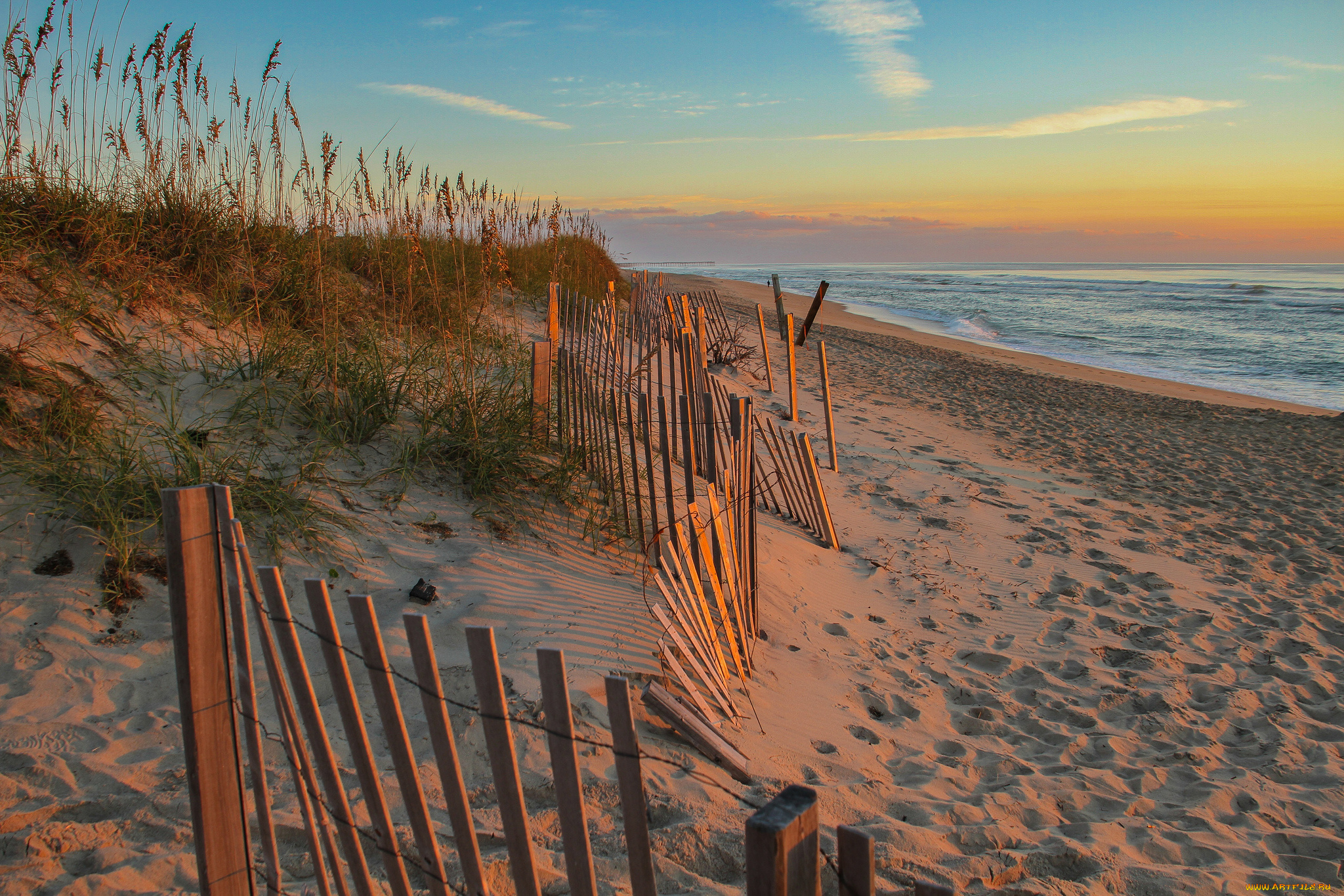 природа, побережье, изгородь, пляж