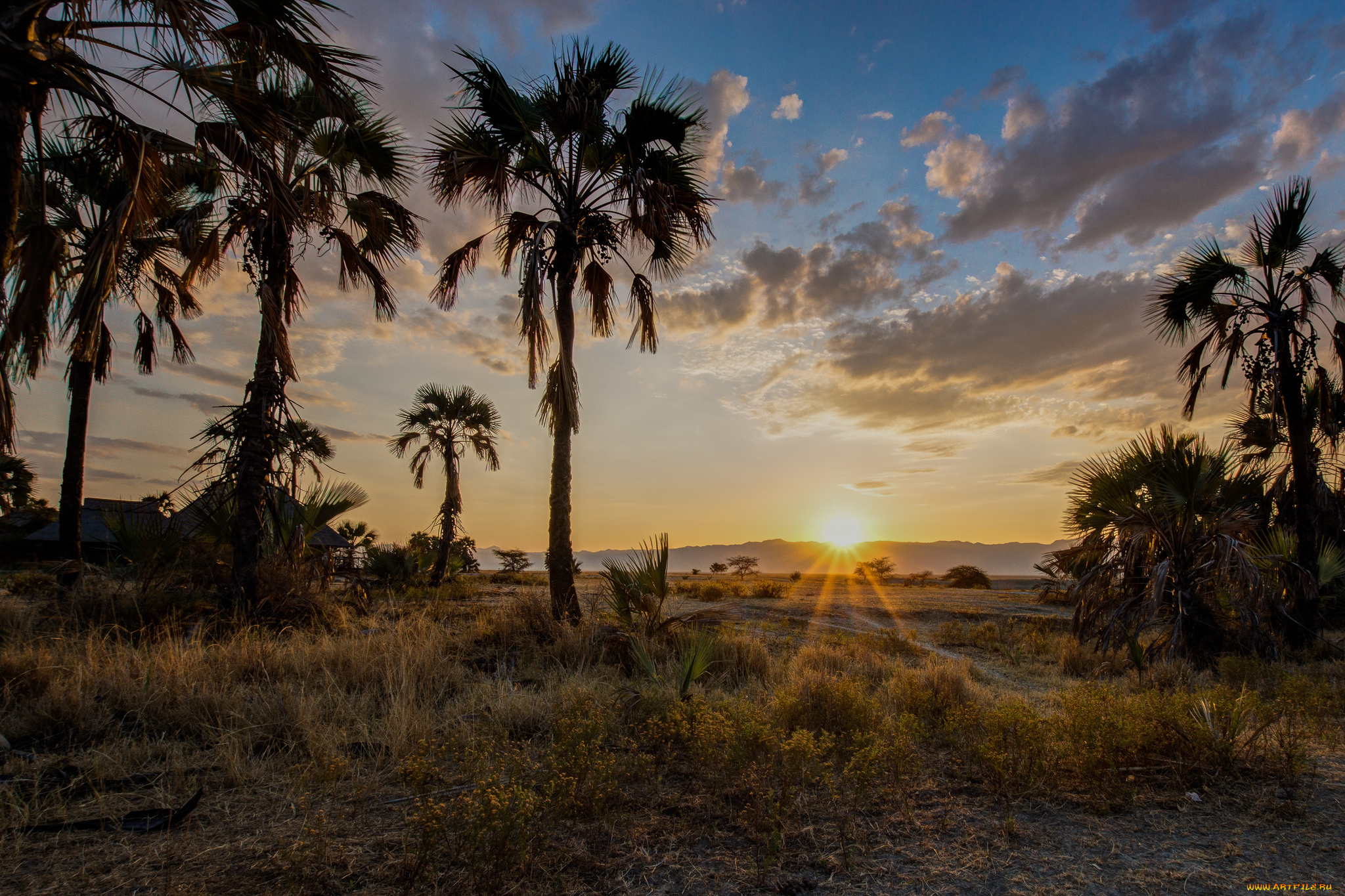 природа, восходы, закаты, рассвет