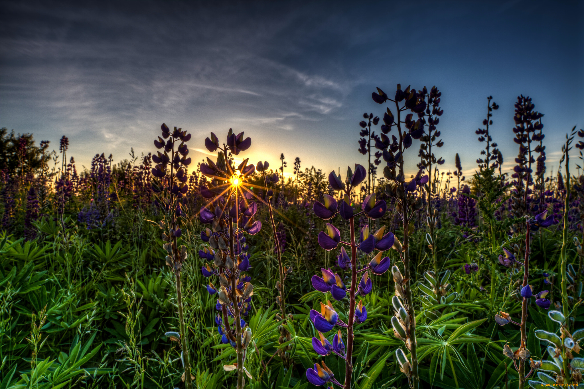 природа, восходы, закаты, рассвет