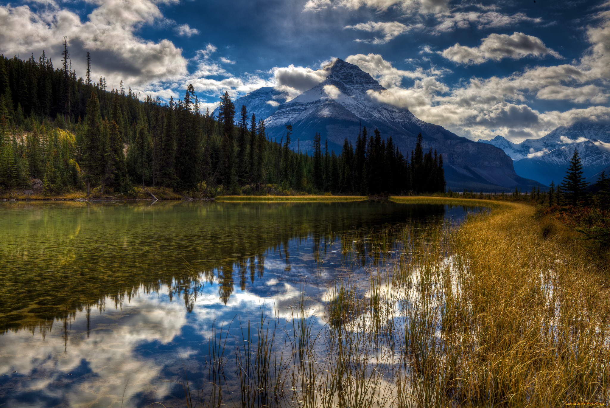 природа, реки, озера, горы, лес, река