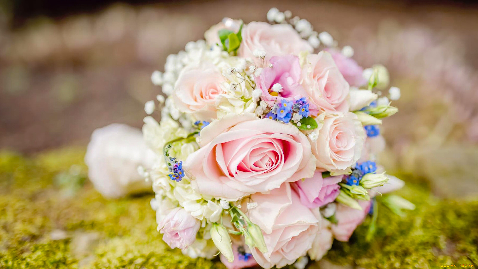 цветы, букеты, , композиции, розы, букет, свадебный, незабудки