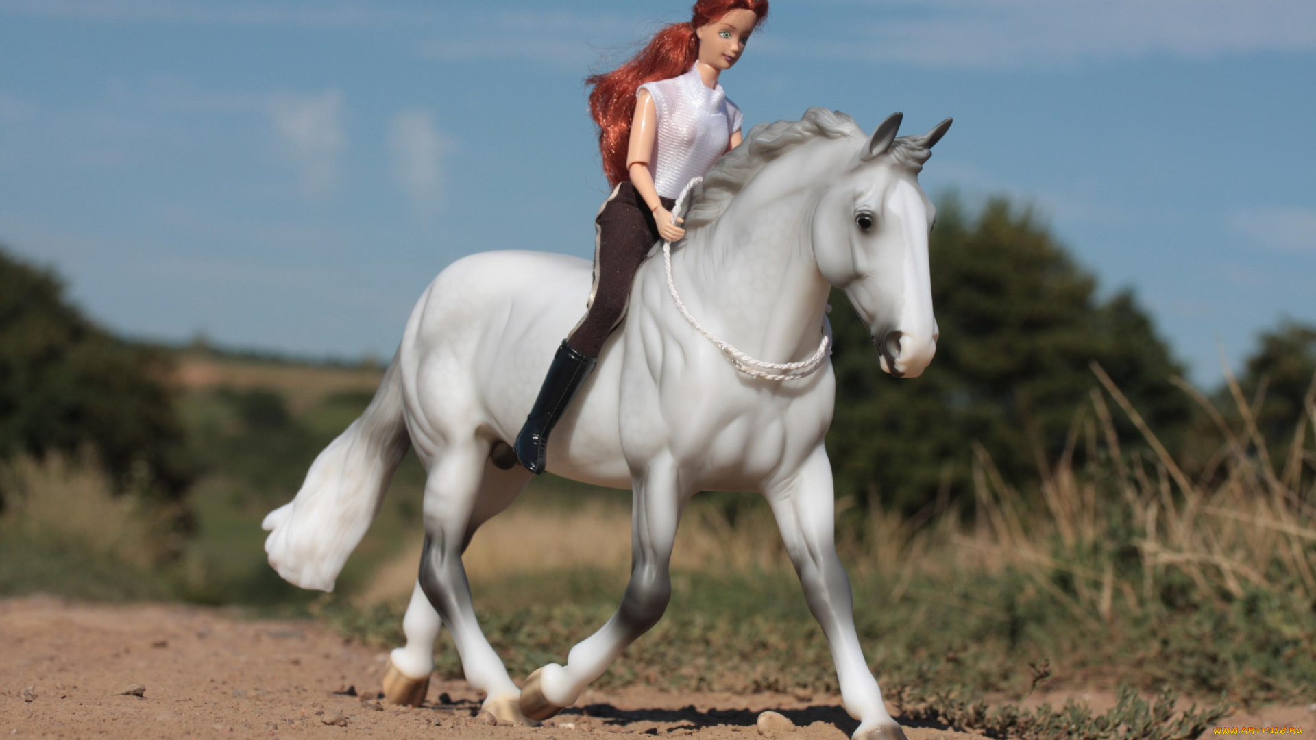 разное, игрушки, всадница, кукла, конь