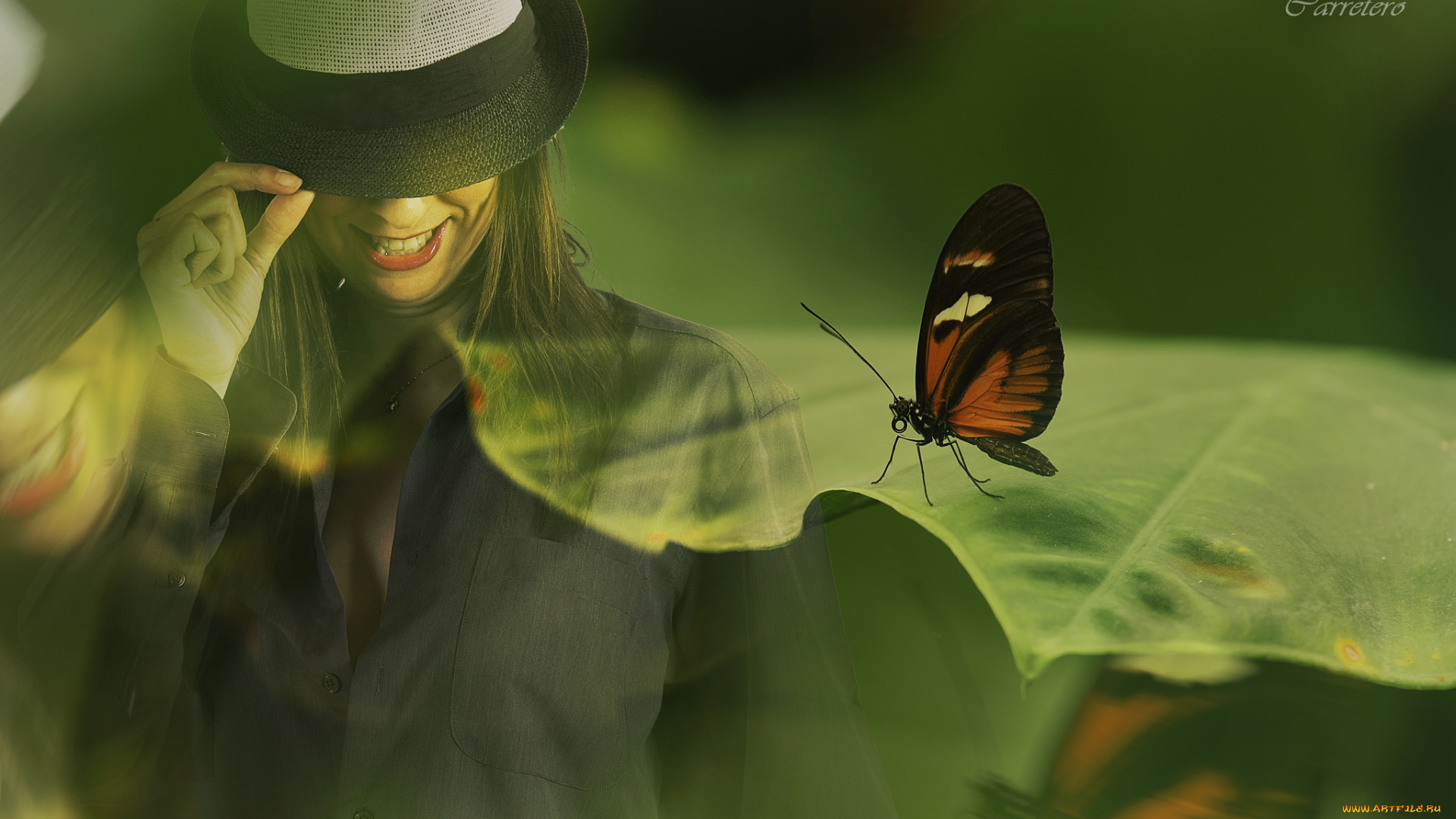 разное, компьютерный, дизайн, бабочка, девушка