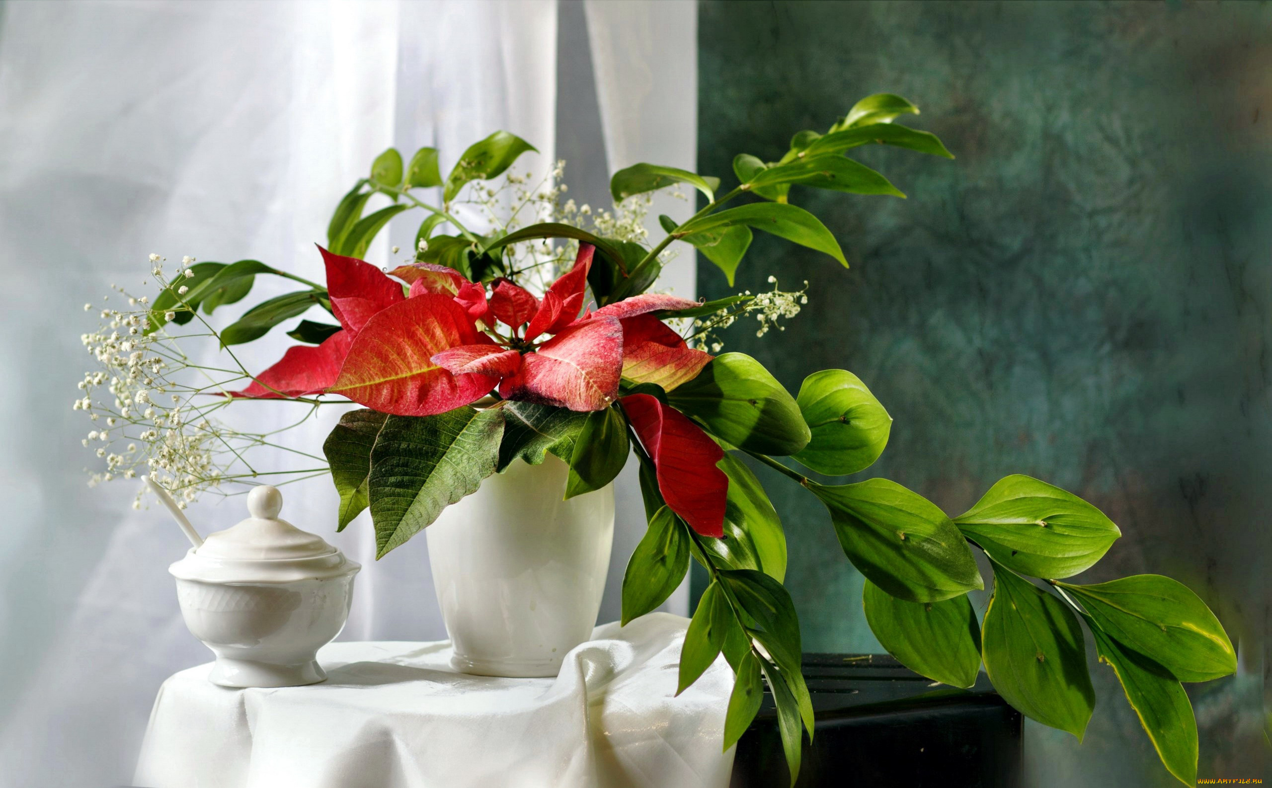 цветы, букеты, , композиции, гипсофила, пуансеттия