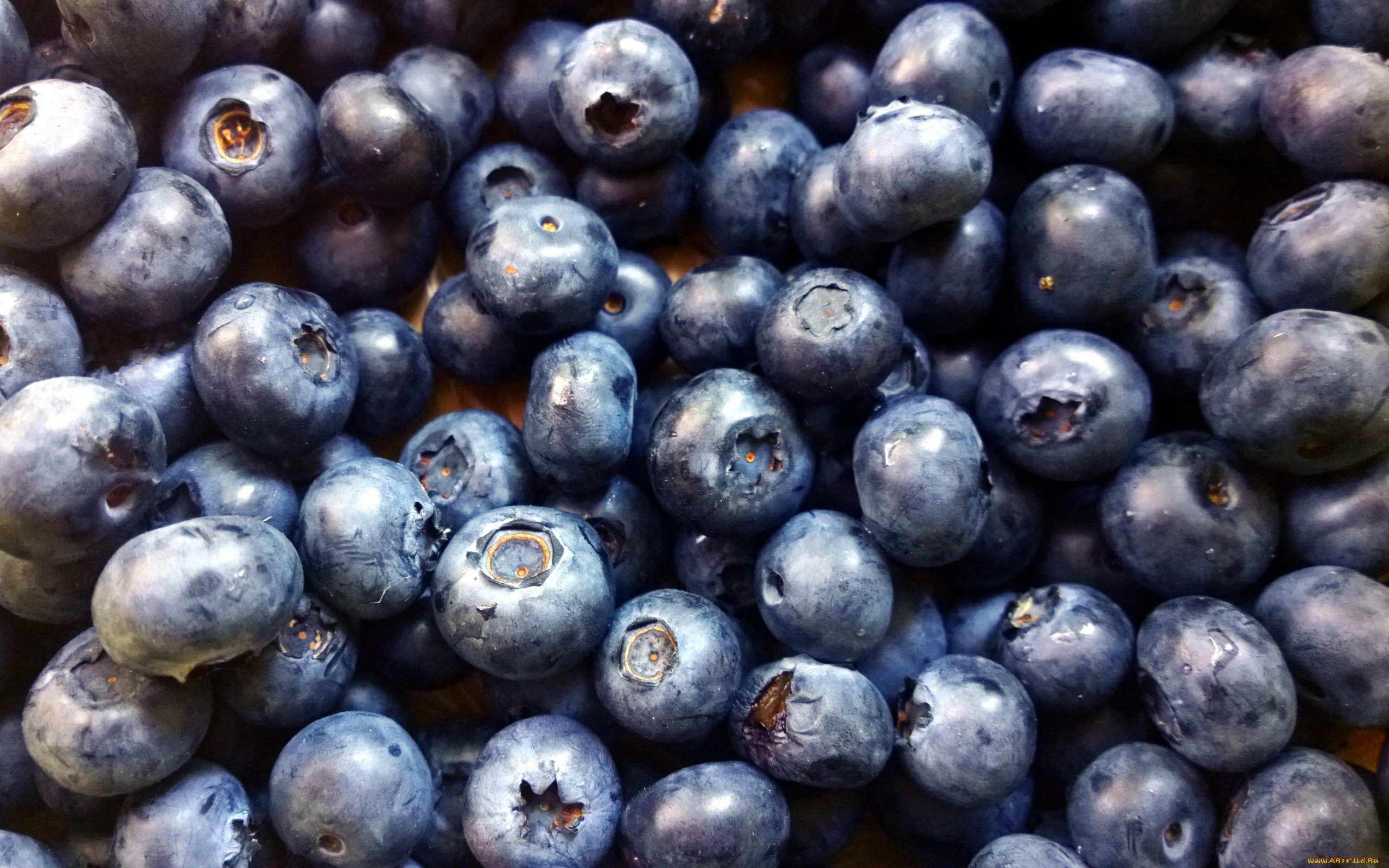 еда, голубика, , черника, черника, макро, ягоды