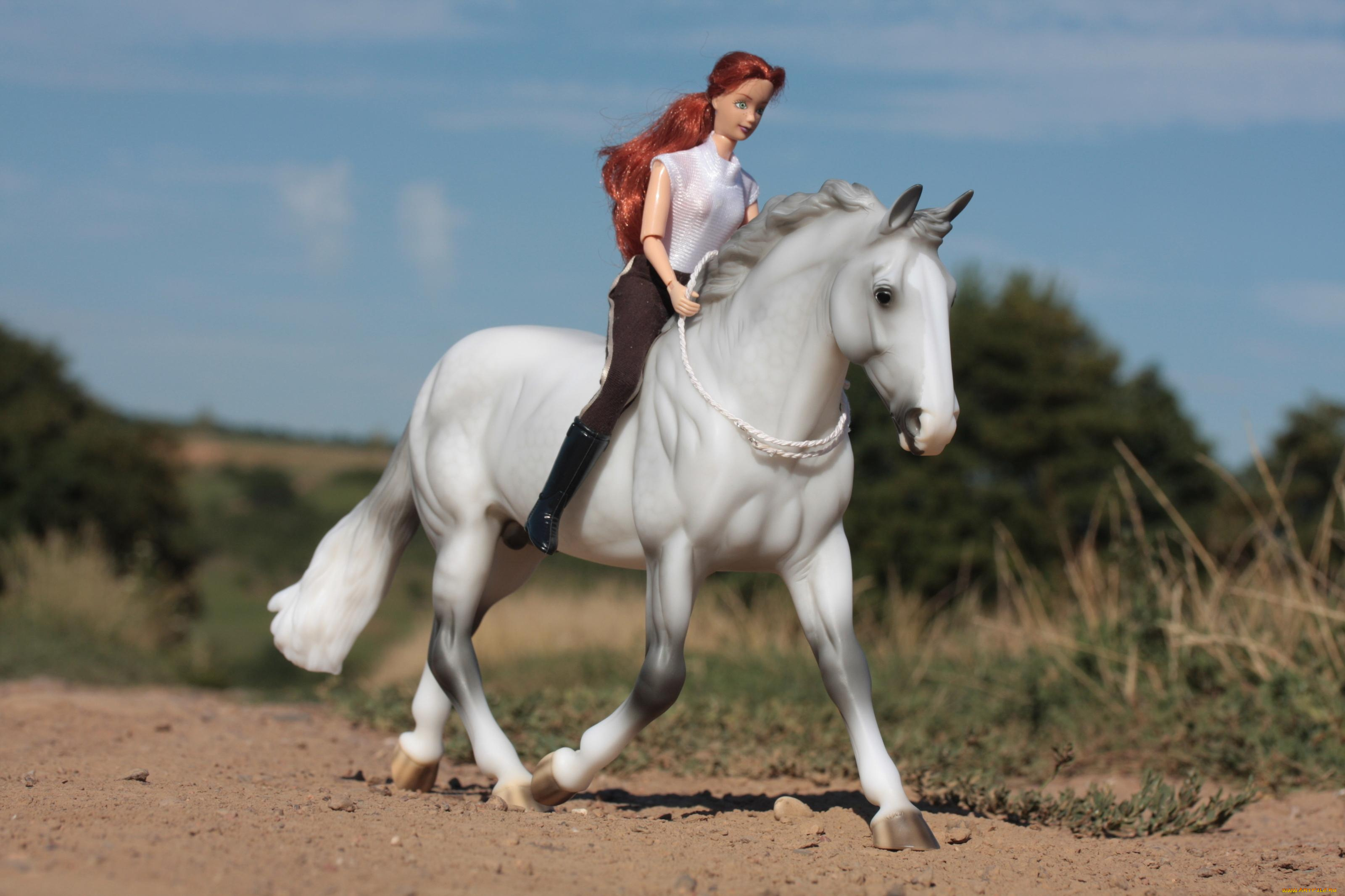 разное, игрушки, всадница, кукла, конь