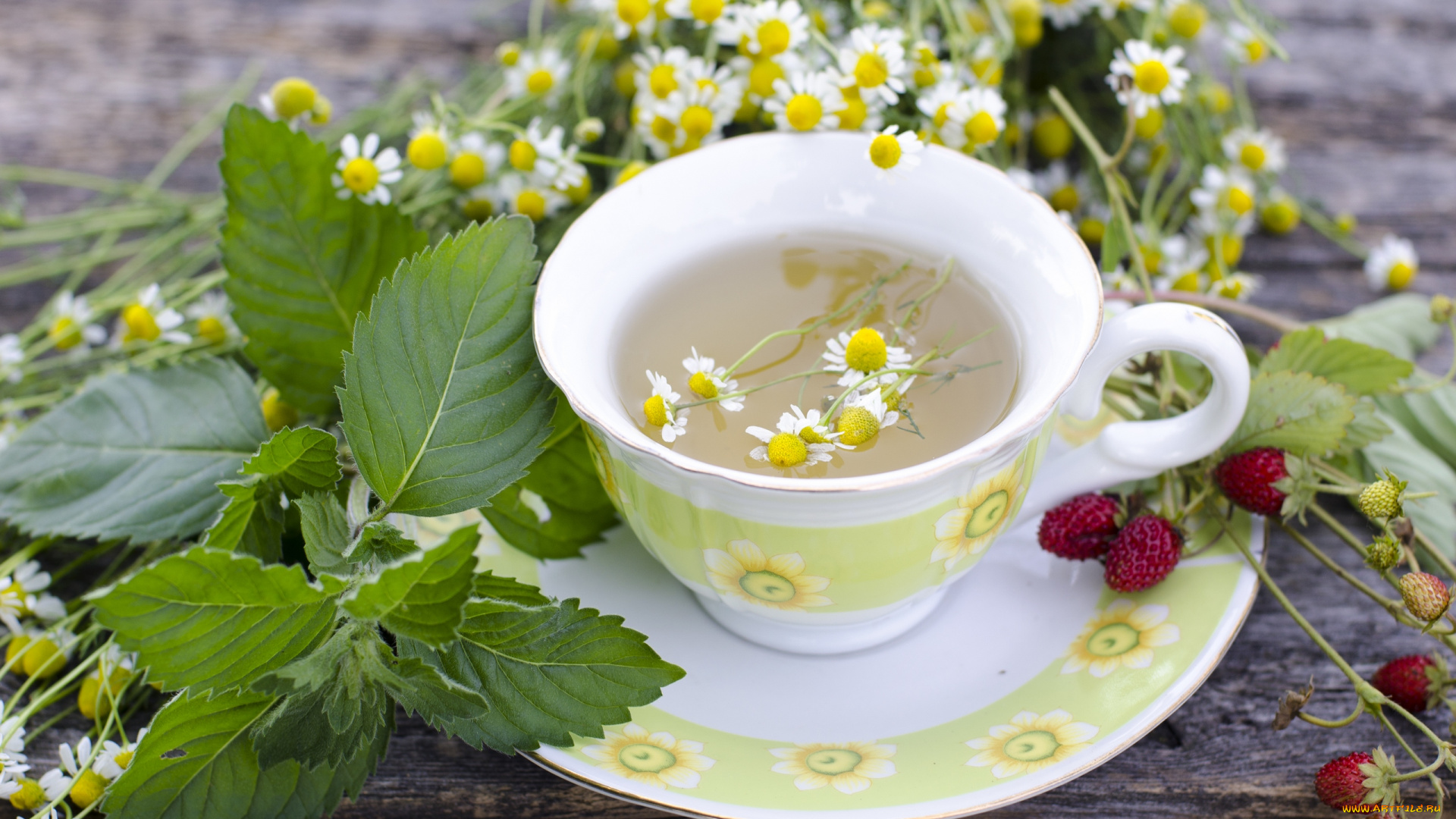 еда, напитки, , Чай, земляника, ромашка, чай