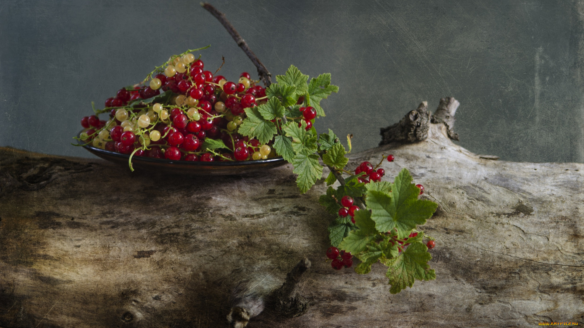 еда, смородина, натюрморт, красная, ветка, смородины, винтаж, ягод, ягоды, светлана, андреянова, порички