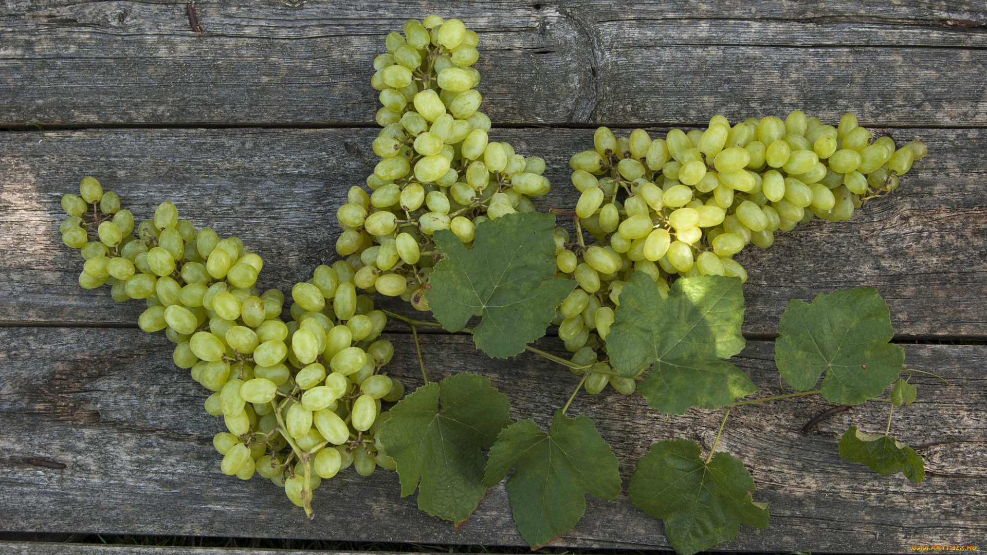 еда, виноград, гроздья, фон, листья