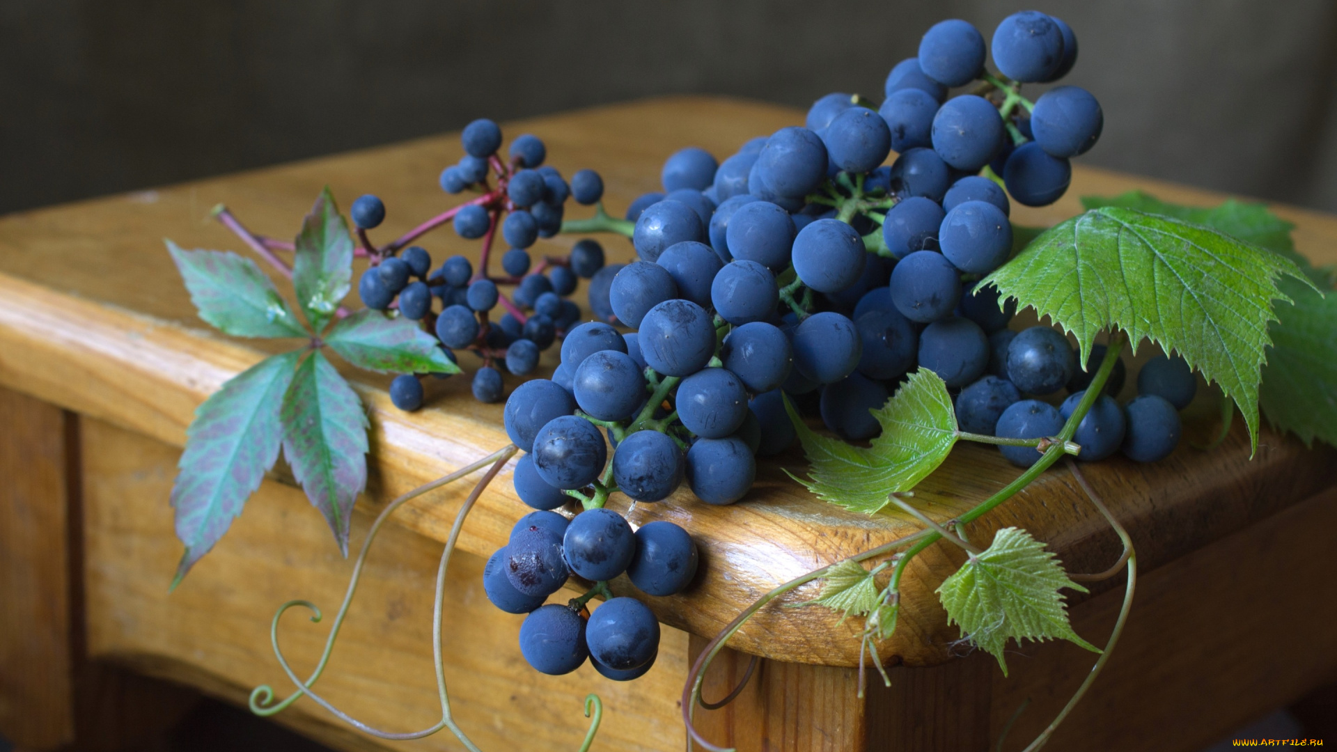 еда, виноград, синий, ягоды
