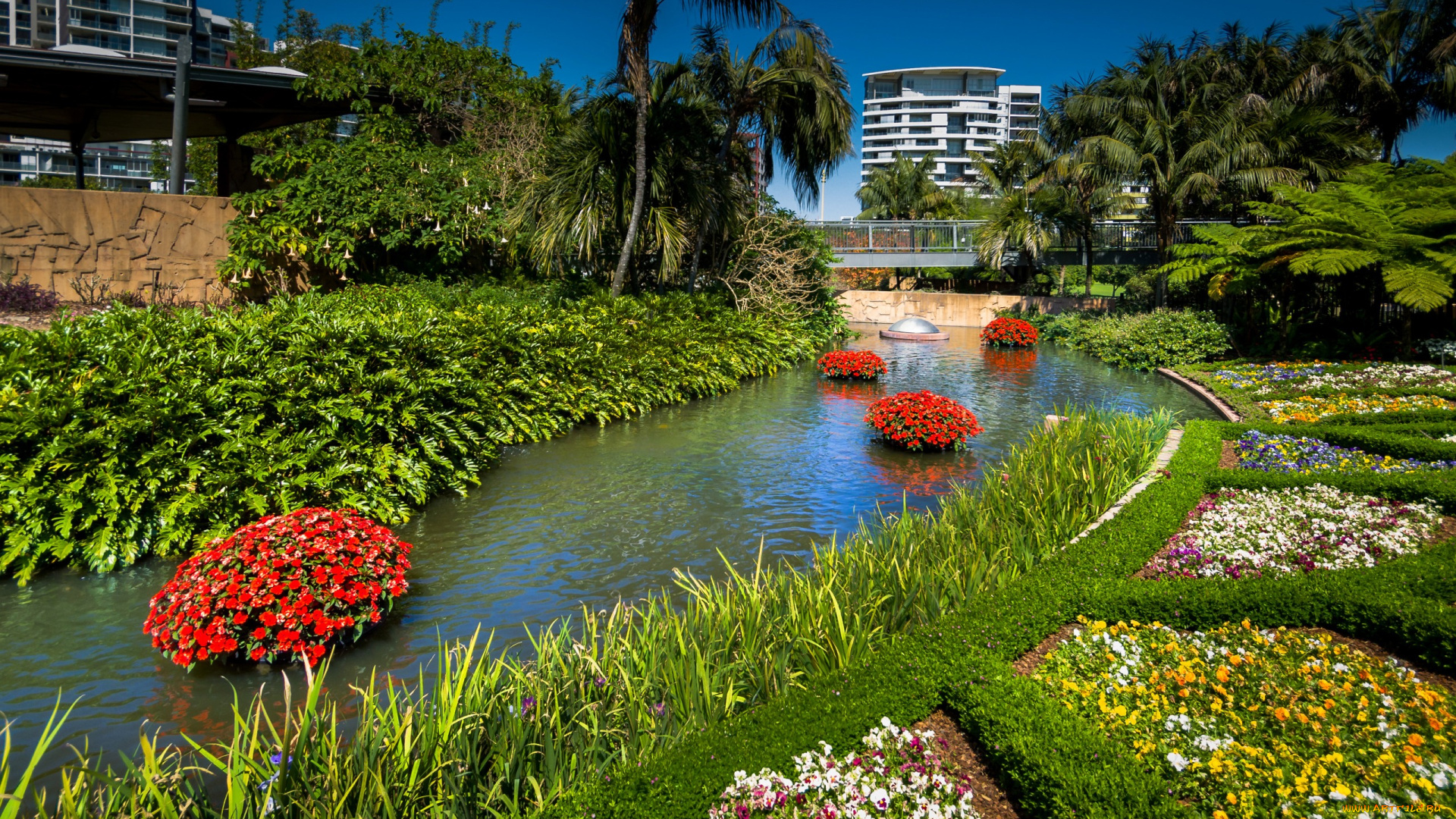 города, -, пейзажи, трава, пруд, дизайн