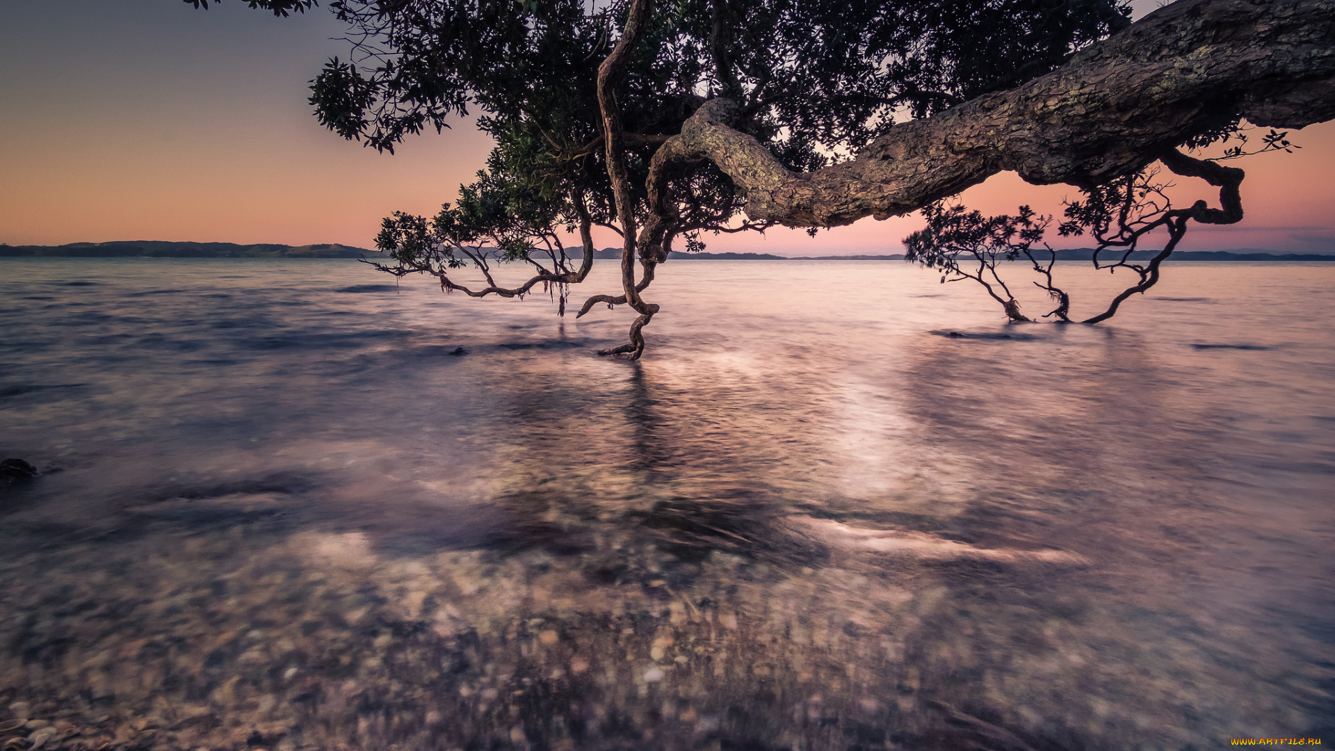 природа, пейзажи, простор