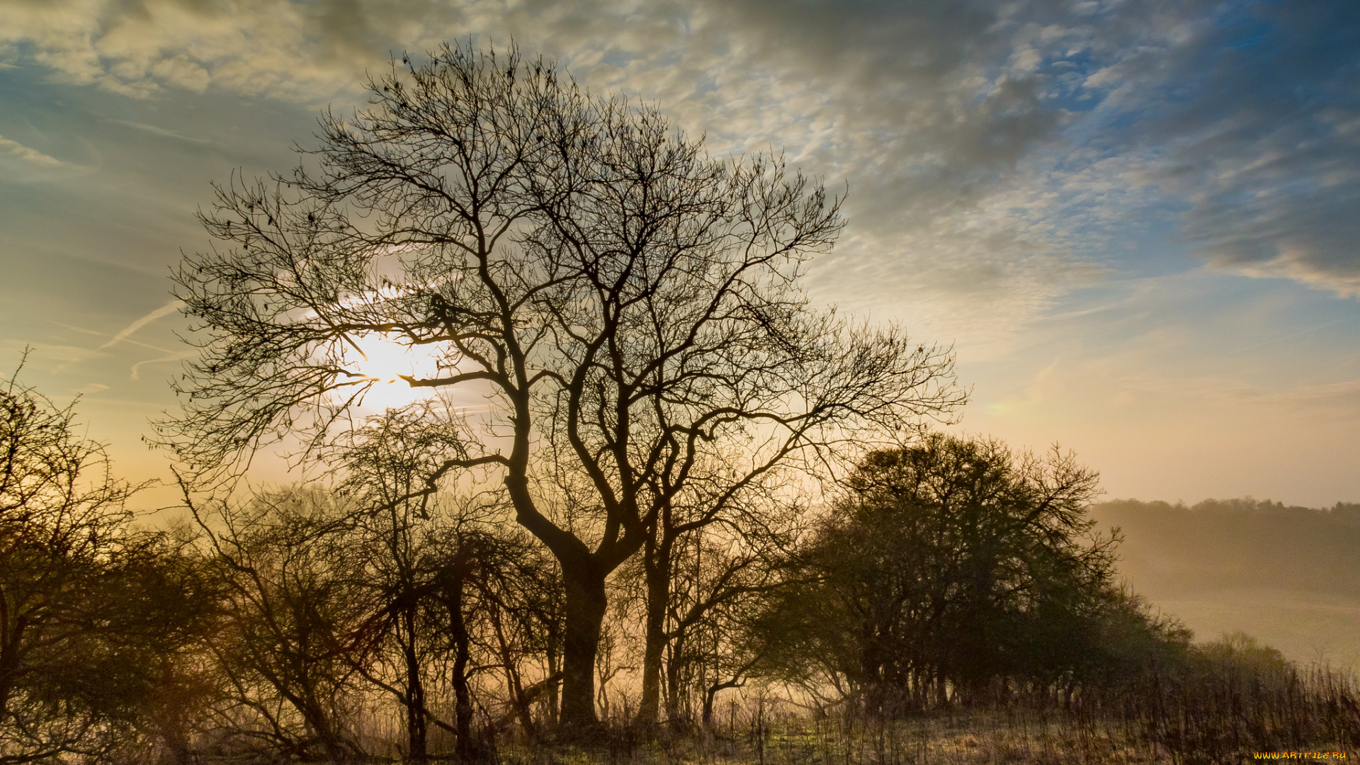 природа, пейзажи, простор