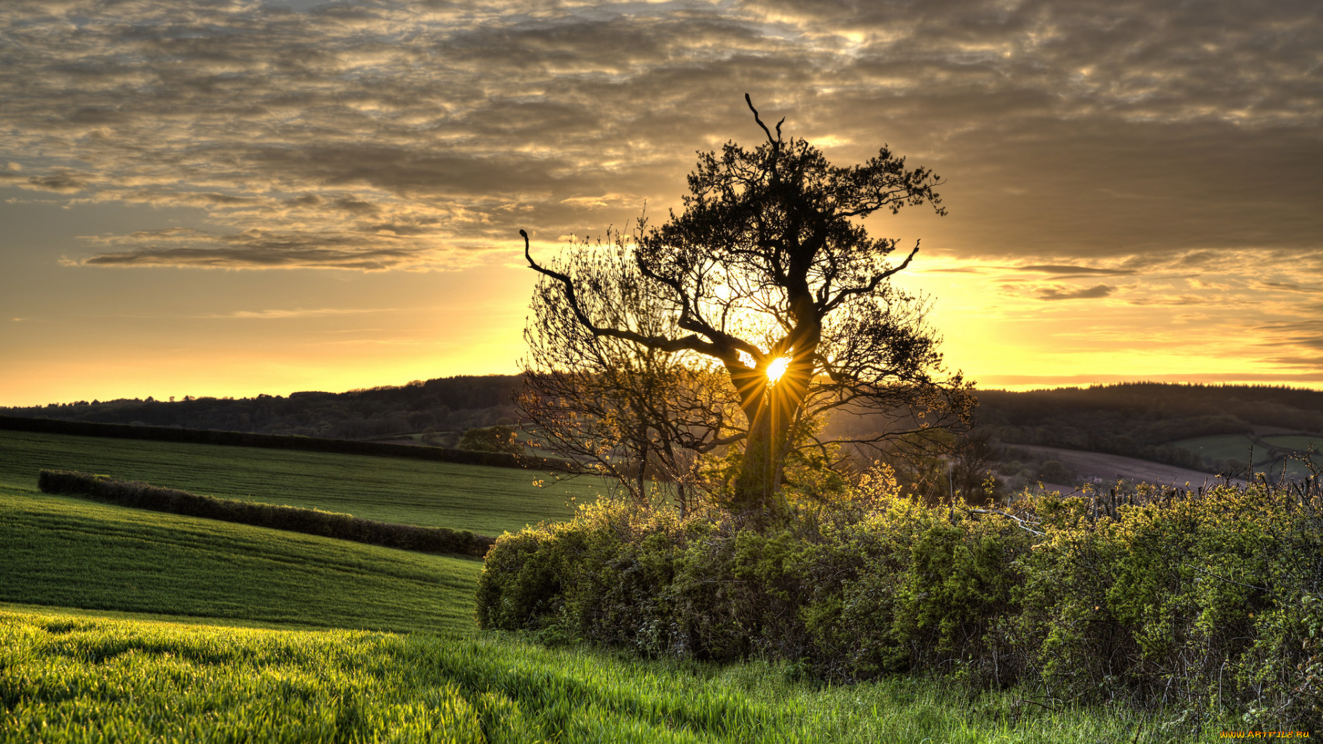 природа, пейзажи, простор