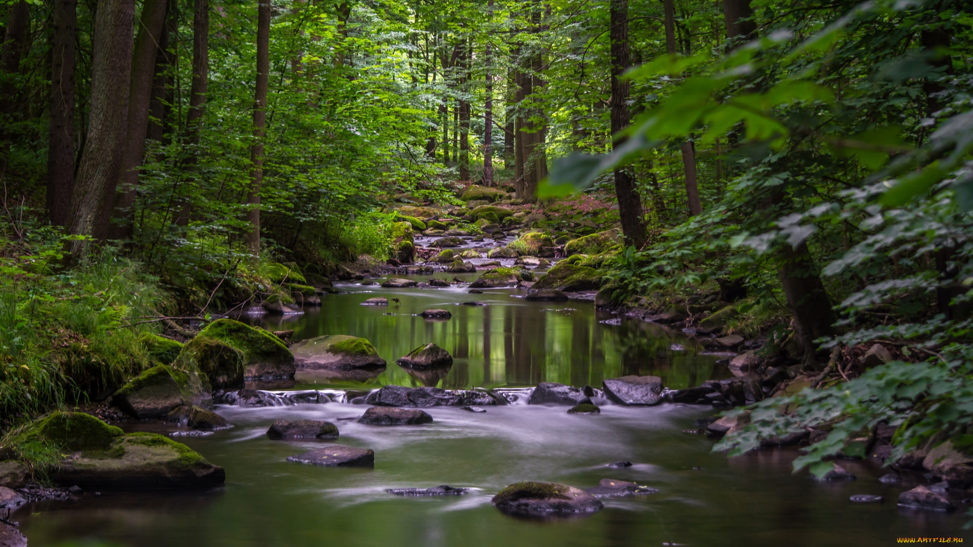 природа, реки, озера, простор