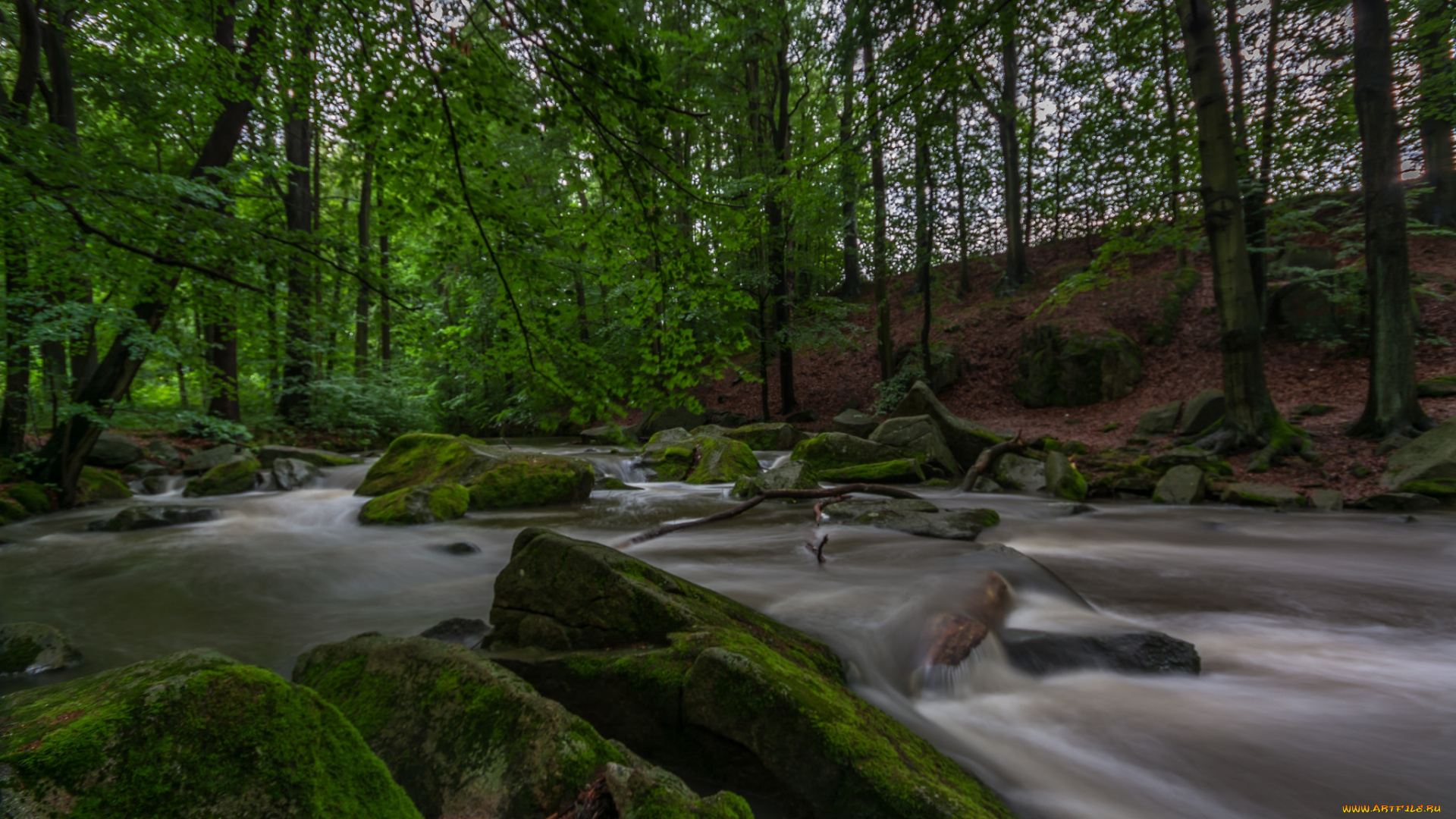 природа, реки, озера, простор