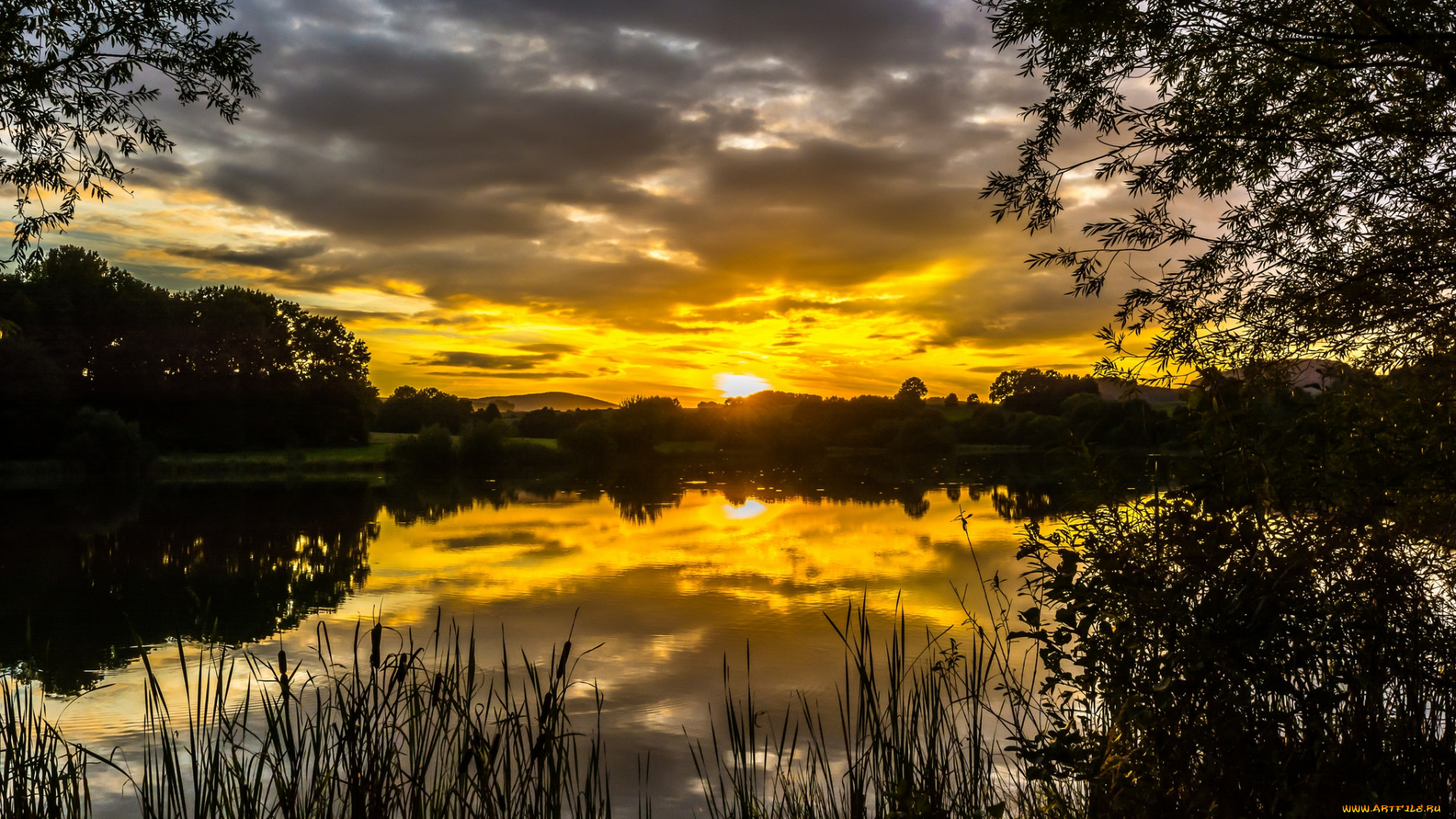 природа, реки, озера, простор