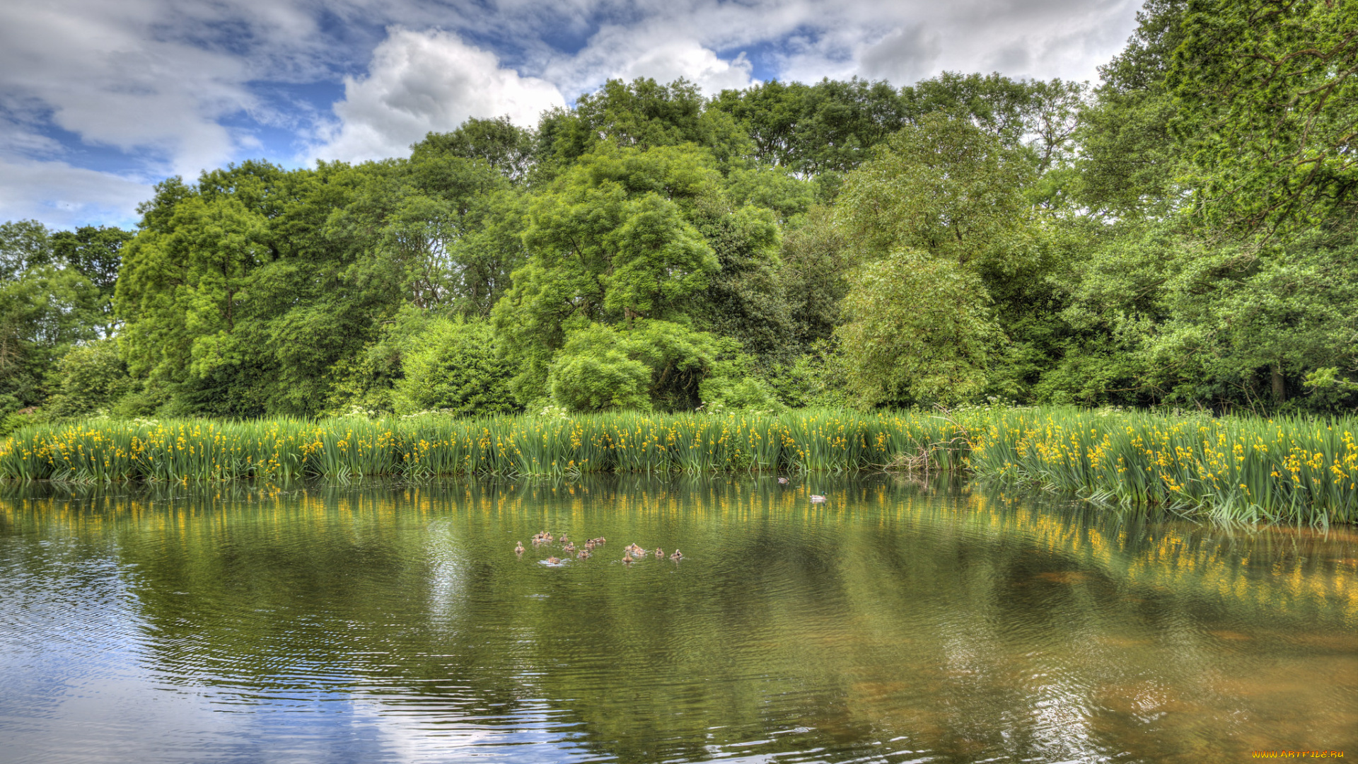 природа, реки, озера, простор