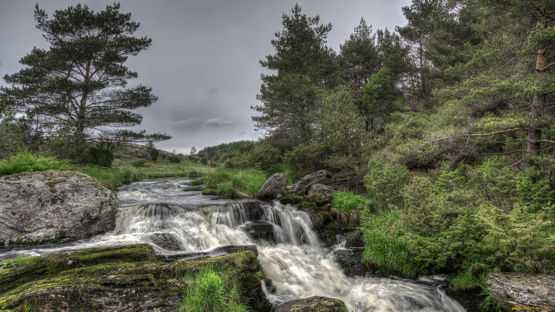 природа, реки, озера, простор