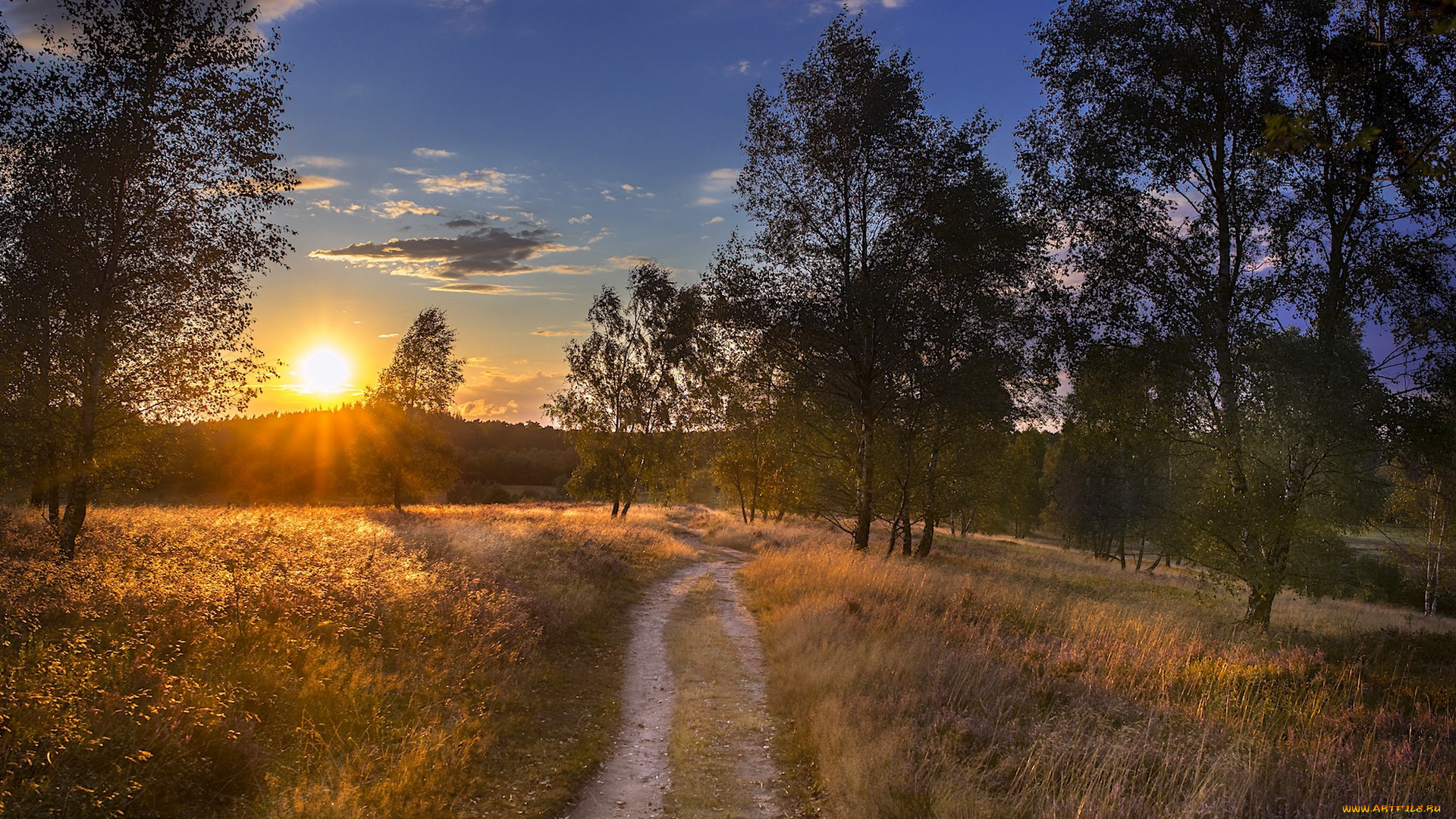 природа, восходы, закаты, дорога, закат, осень