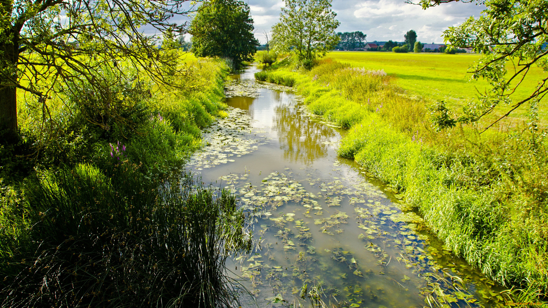 природа, восходы, закаты, простор