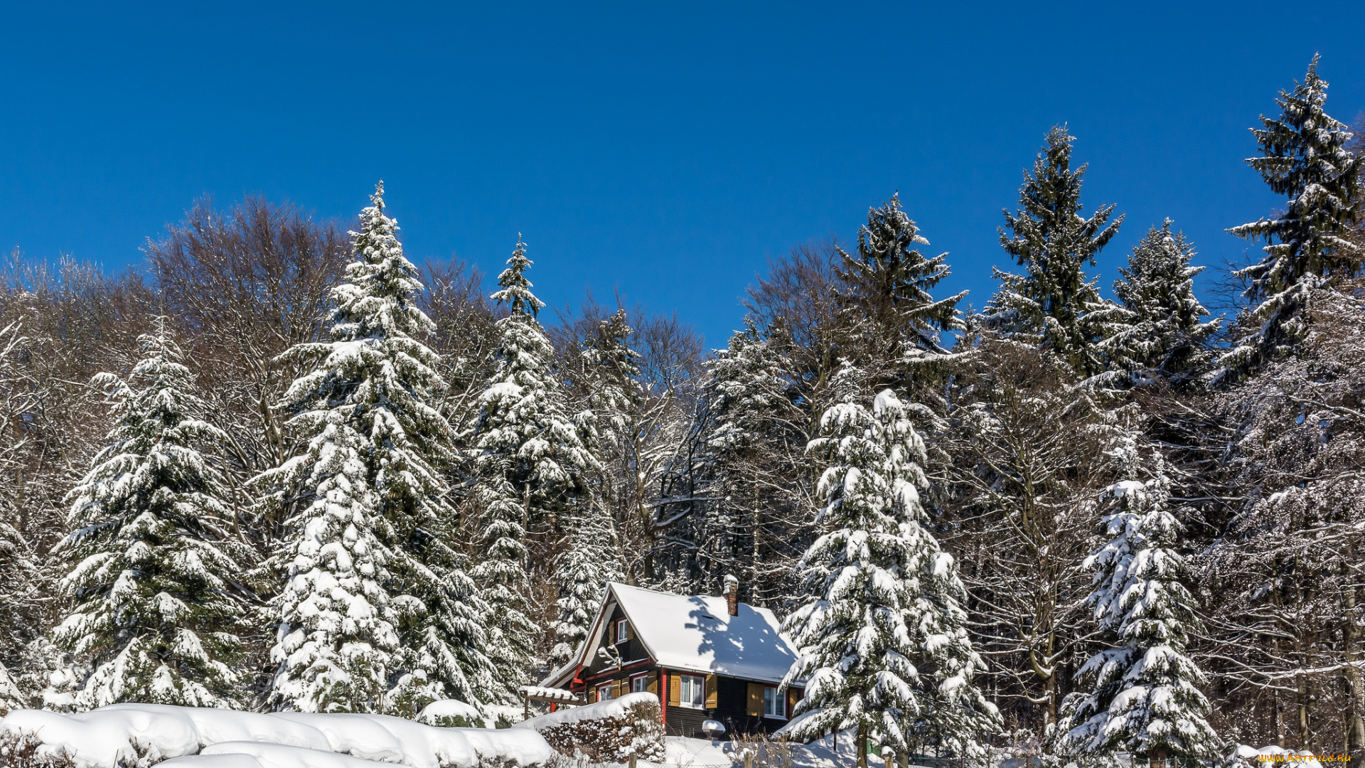 природа, зима, простор