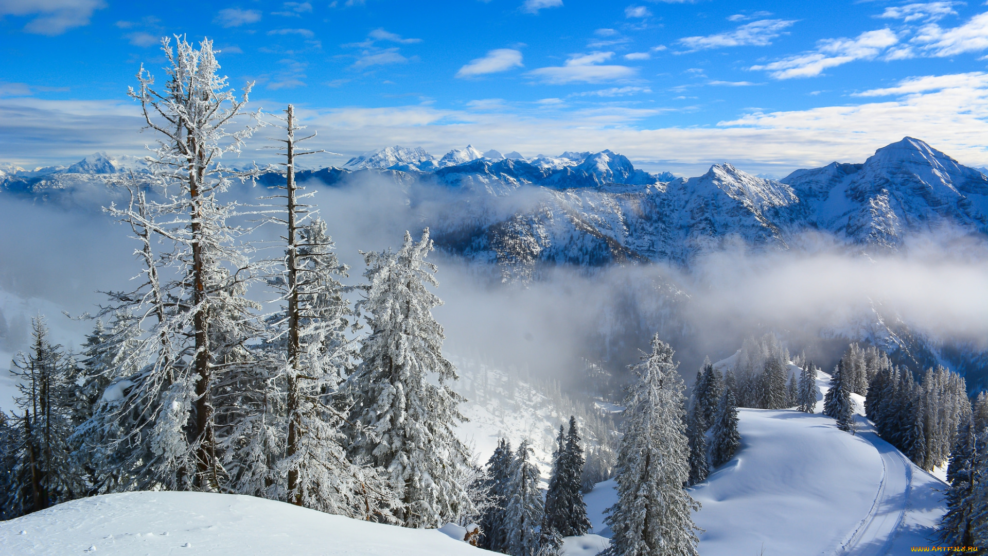 природа, зима, простор