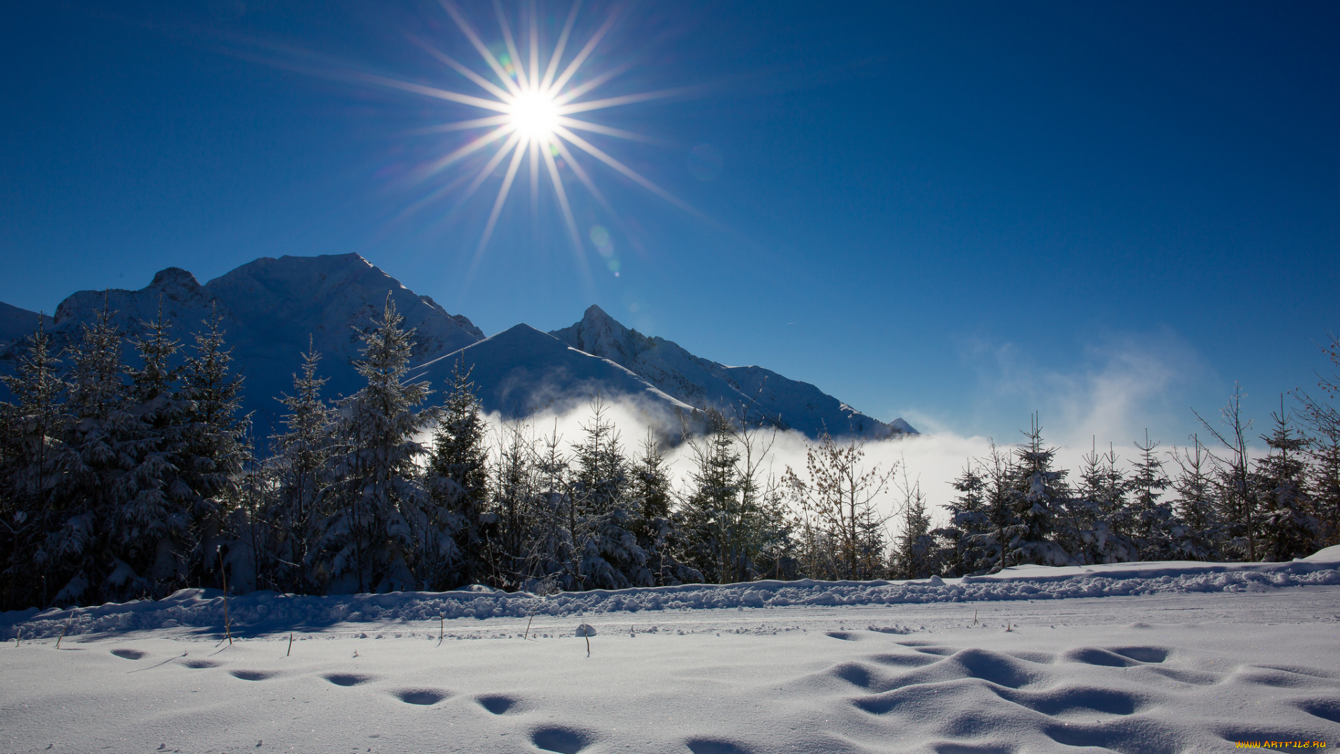 природа, зима, простор