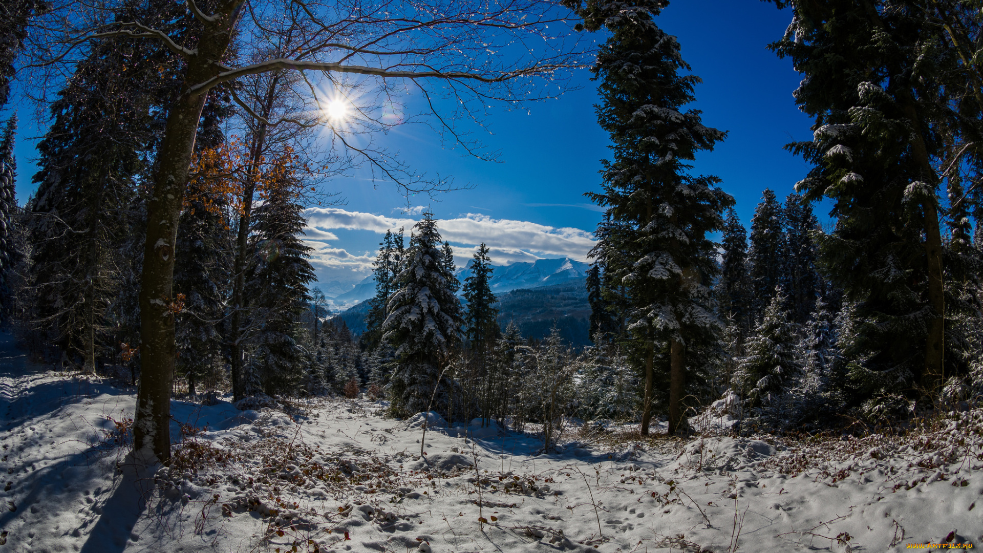 природа, зима, простор