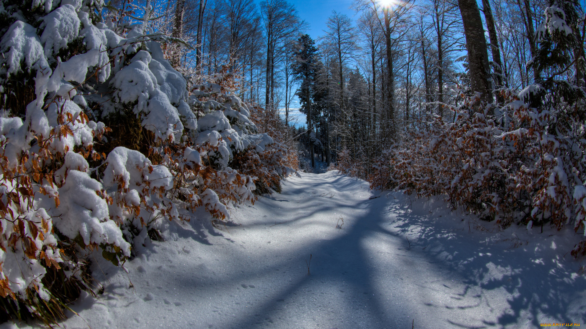 природа, зима, простор