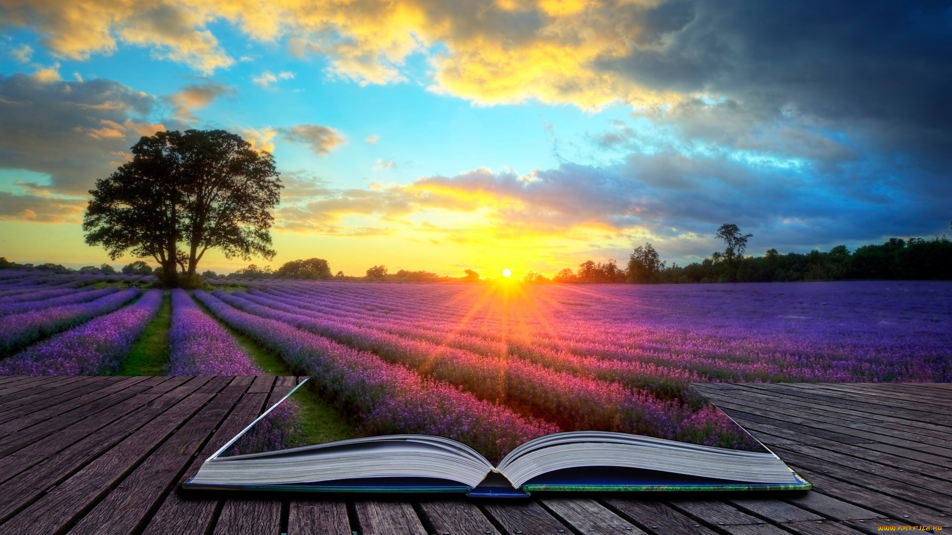 разное, компьютерный, дизайн, книга, цветы, закат