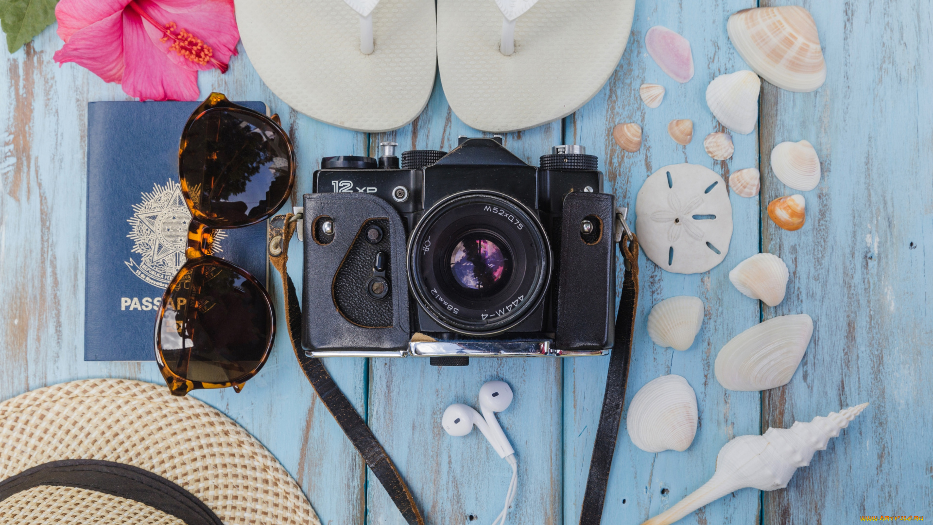 разное, одежда, , обувь, , текстиль, , экипировка, фон, ракушки, цветок, шляпа, очки, море, гибискус, отдых, фотоаппарат, сланцы