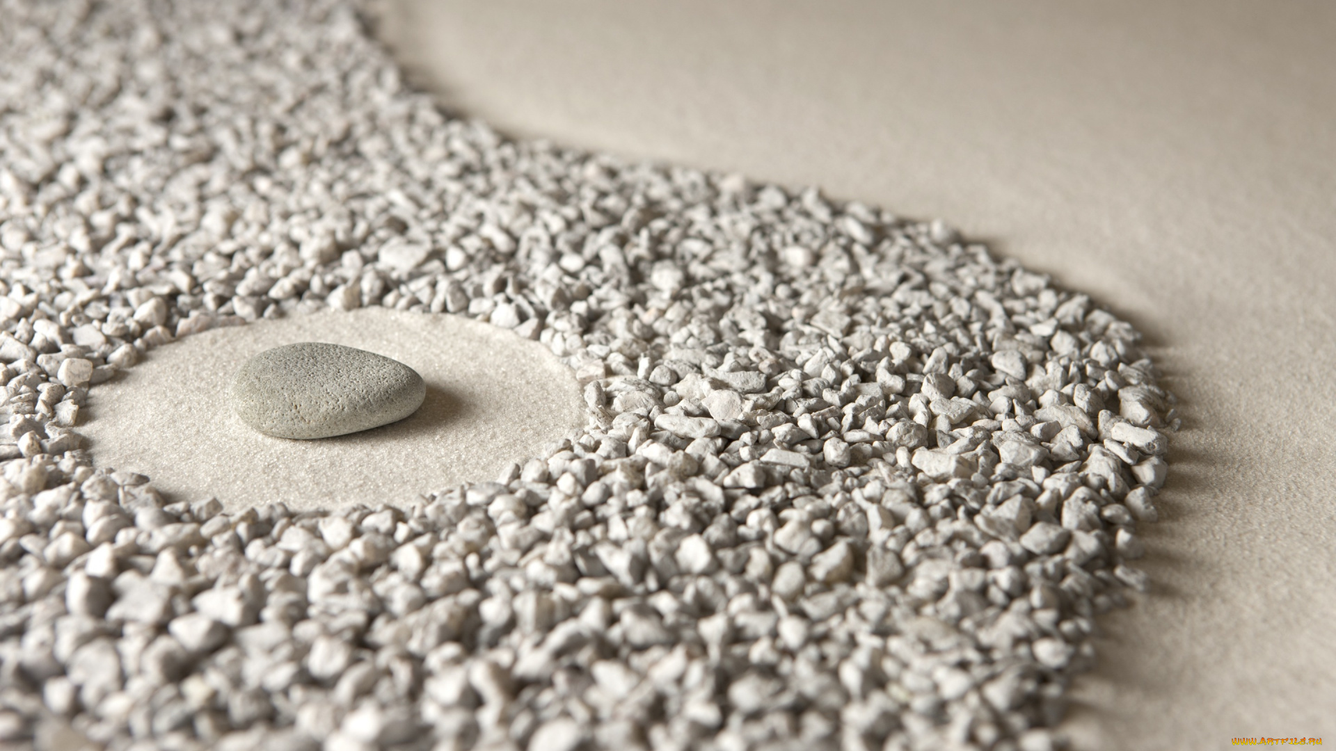 разное, ракушки, , кораллы, , декоративные, и, spa-камни, stone, sand, песок, камни, zen