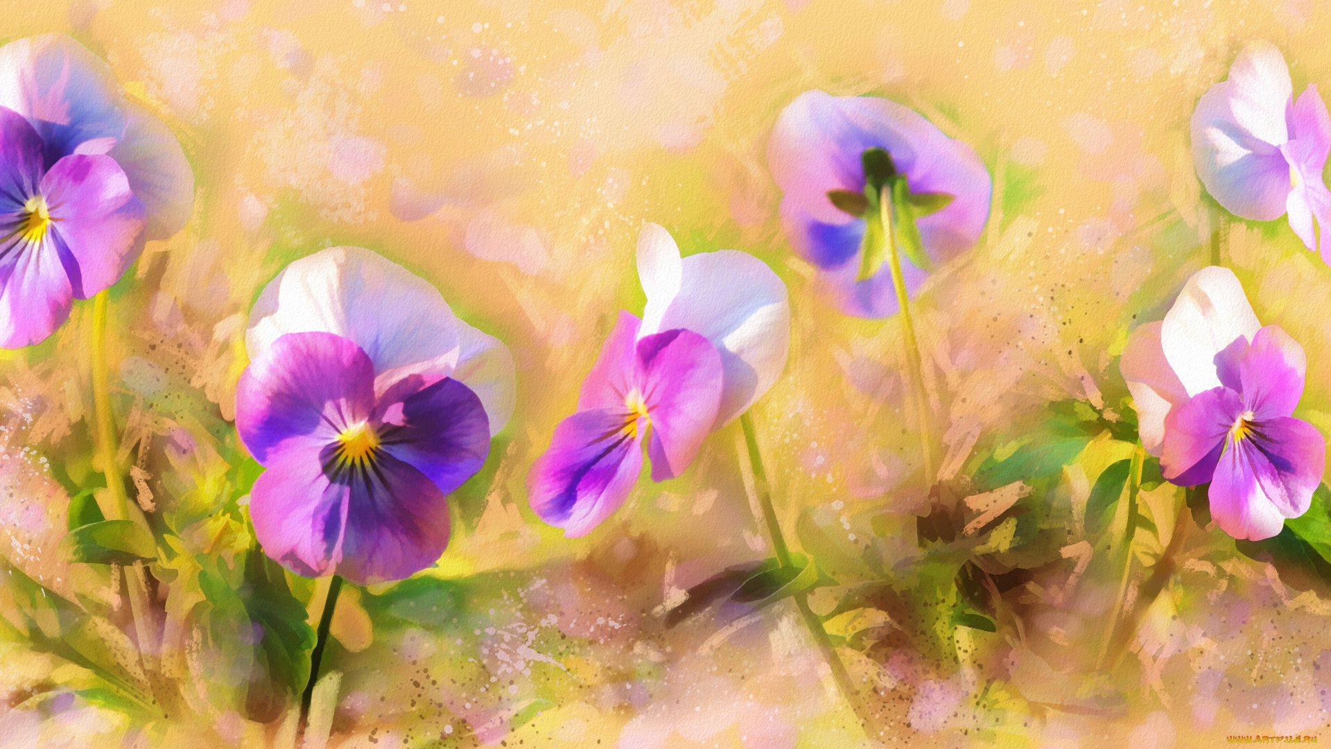 рисованное, цветы, анютины, глазки, фиалки, художественная, графика