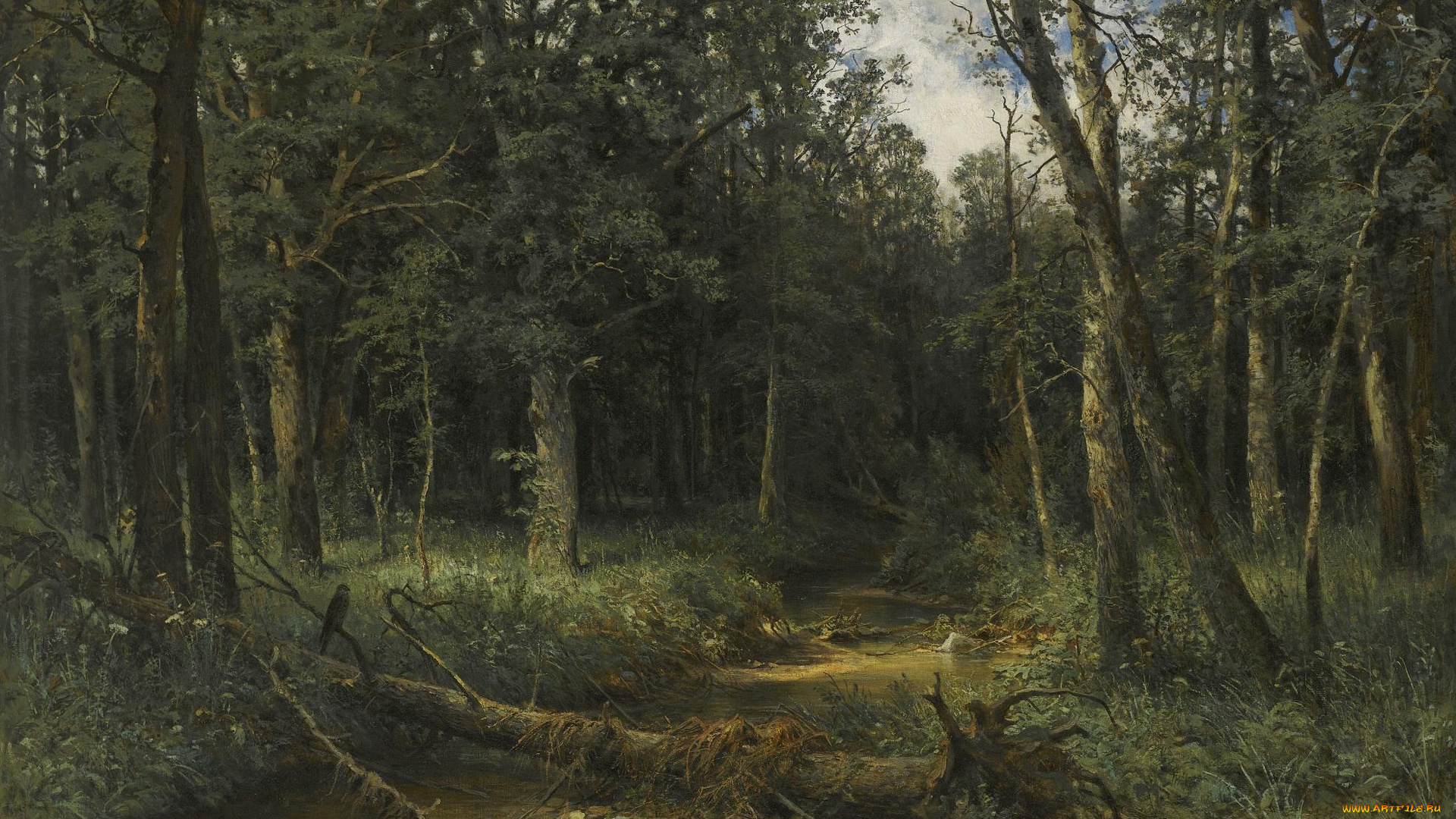 рисованное, иван, шишкин, лес, иван, иванович, шишкин, картина, пейзаж, темное, дерево