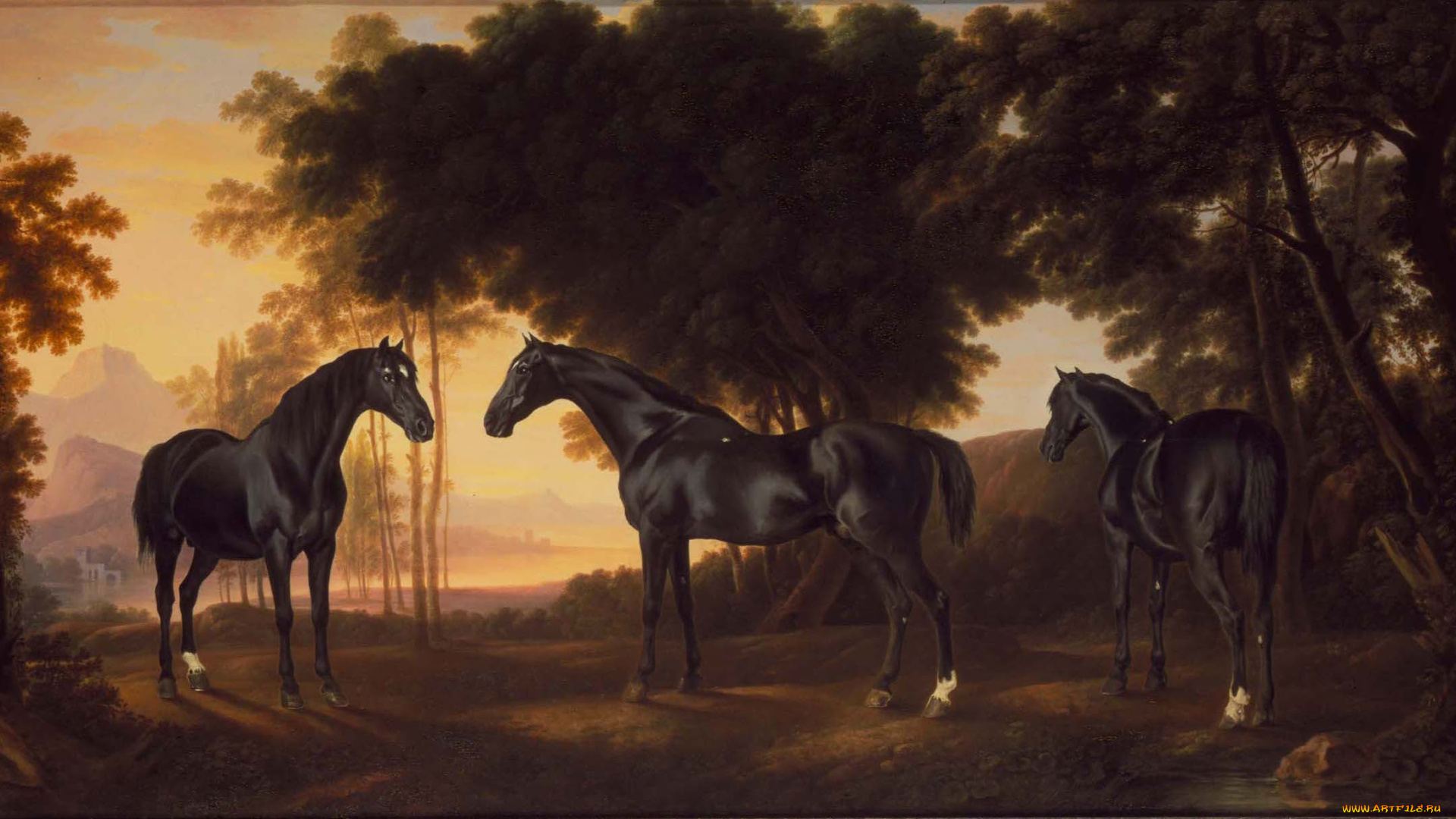 рисованное, животные, , лошади, фон, лошадь