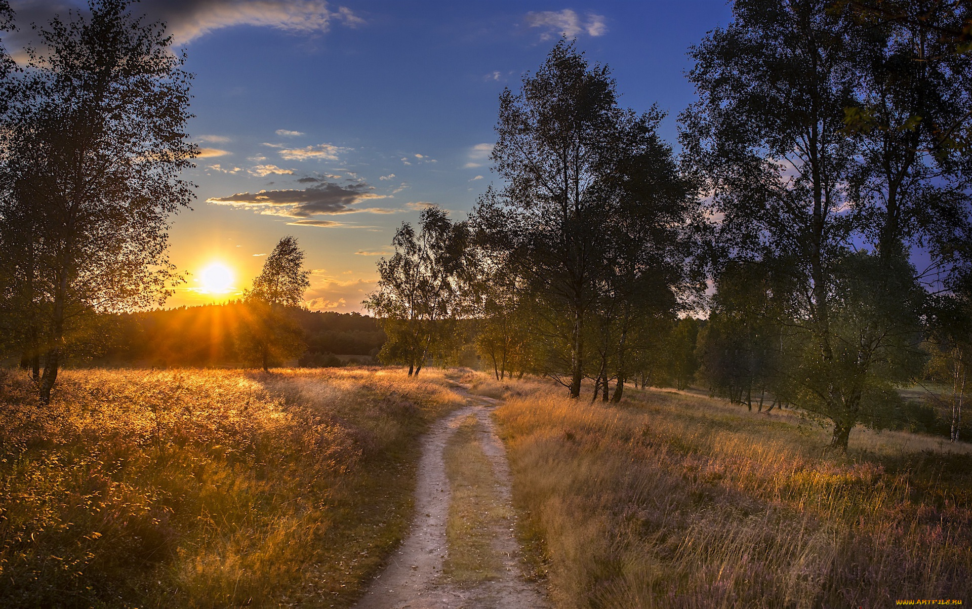 природа, восходы, закаты, дорога, закат, осень