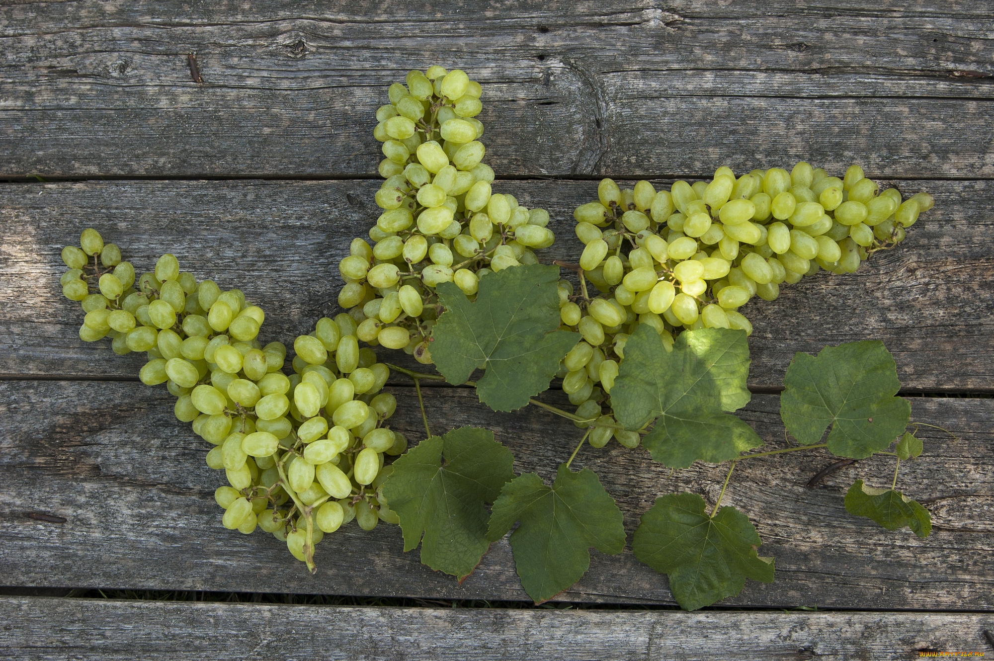 еда, виноград, гроздья, фон, листья