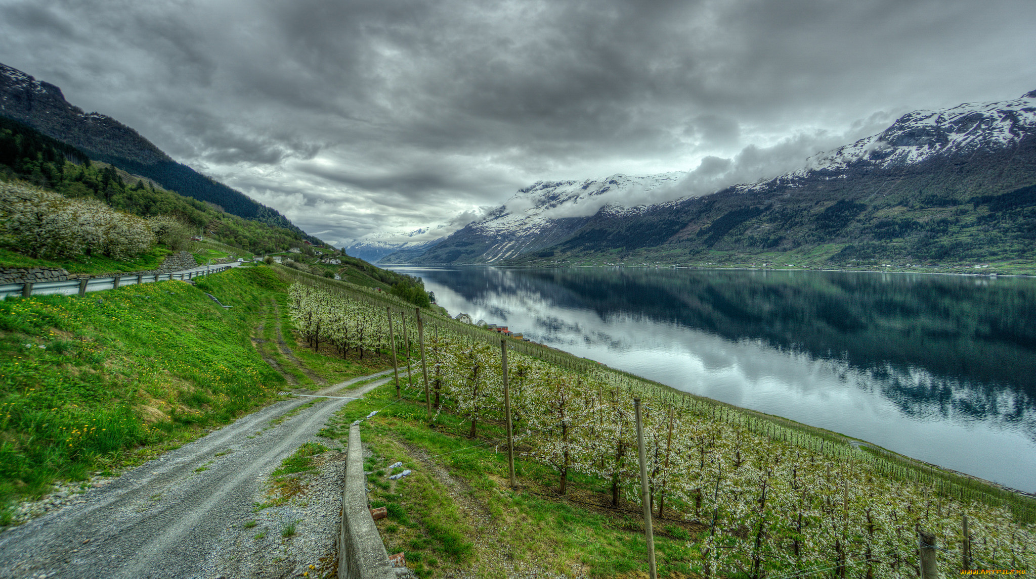 природа, дороги, простор