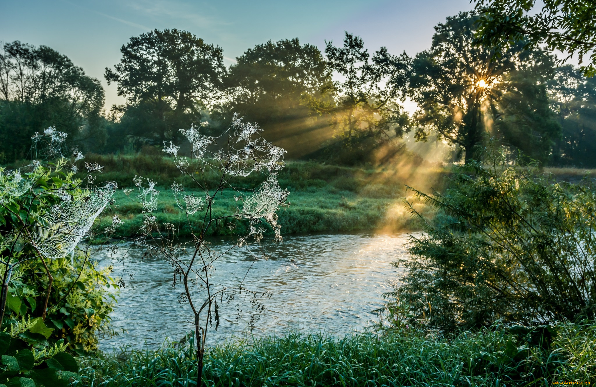 природа, реки, озера, простор