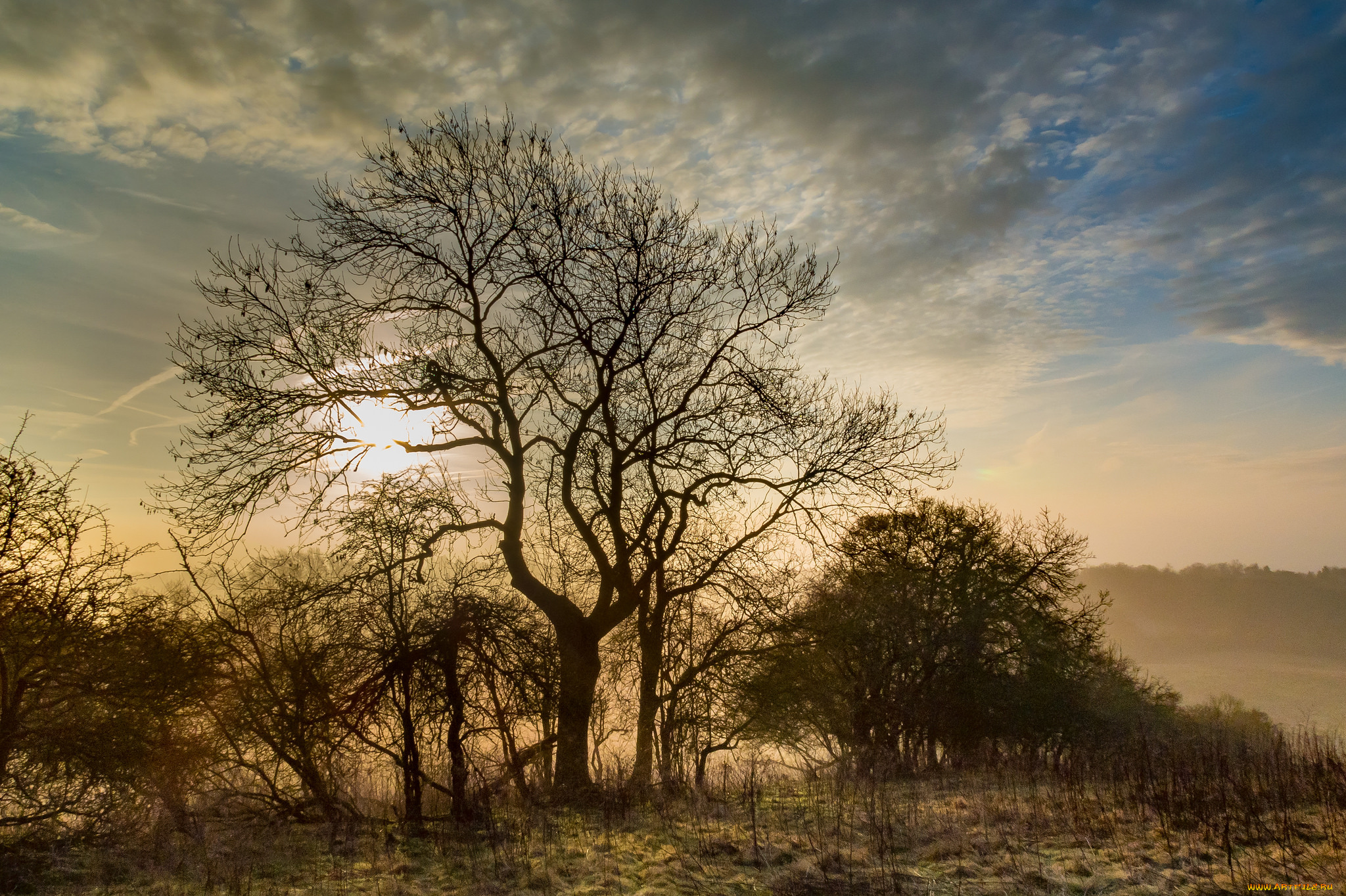 природа, пейзажи, простор