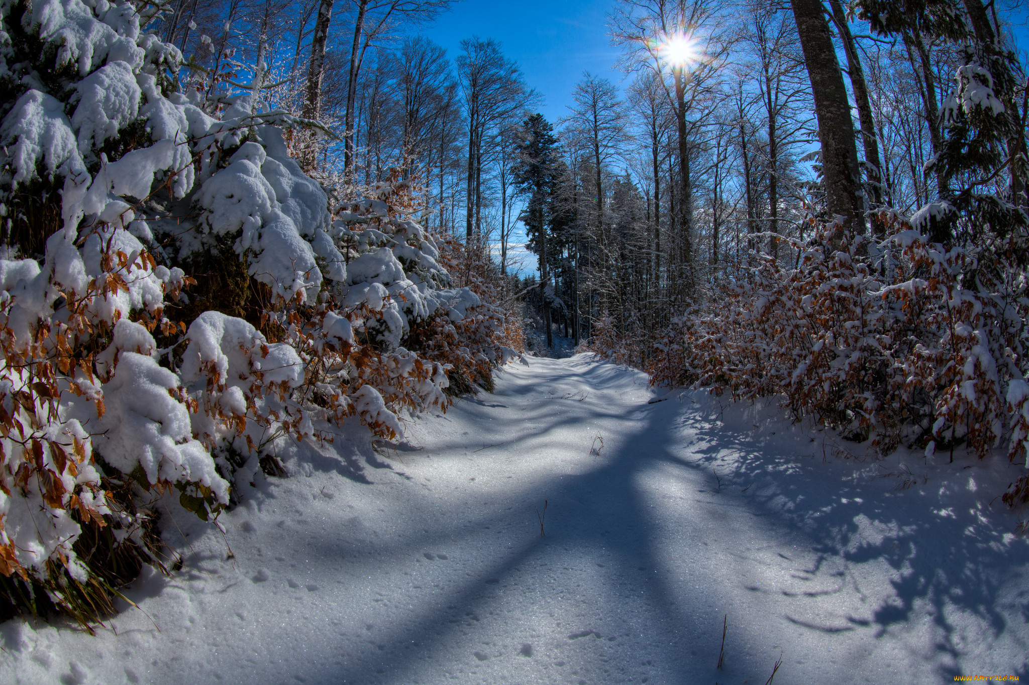 природа, зима, простор