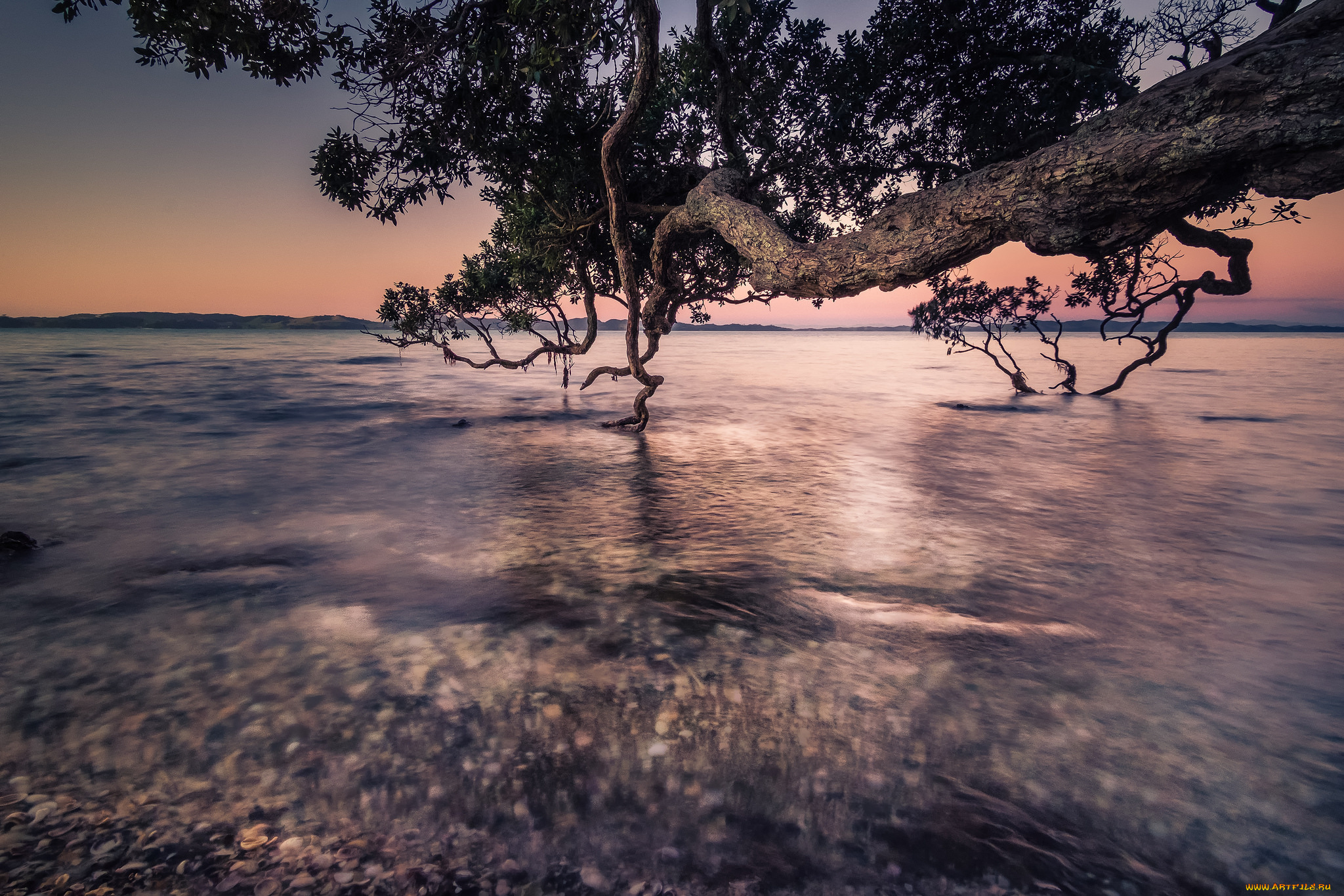 природа, пейзажи, простор