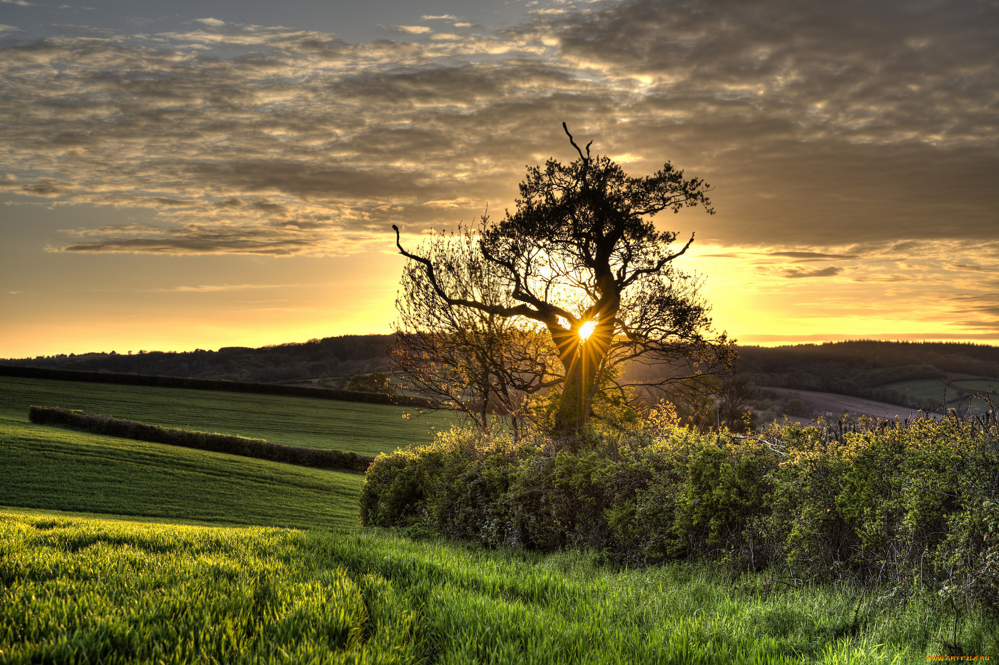 природа, пейзажи, простор