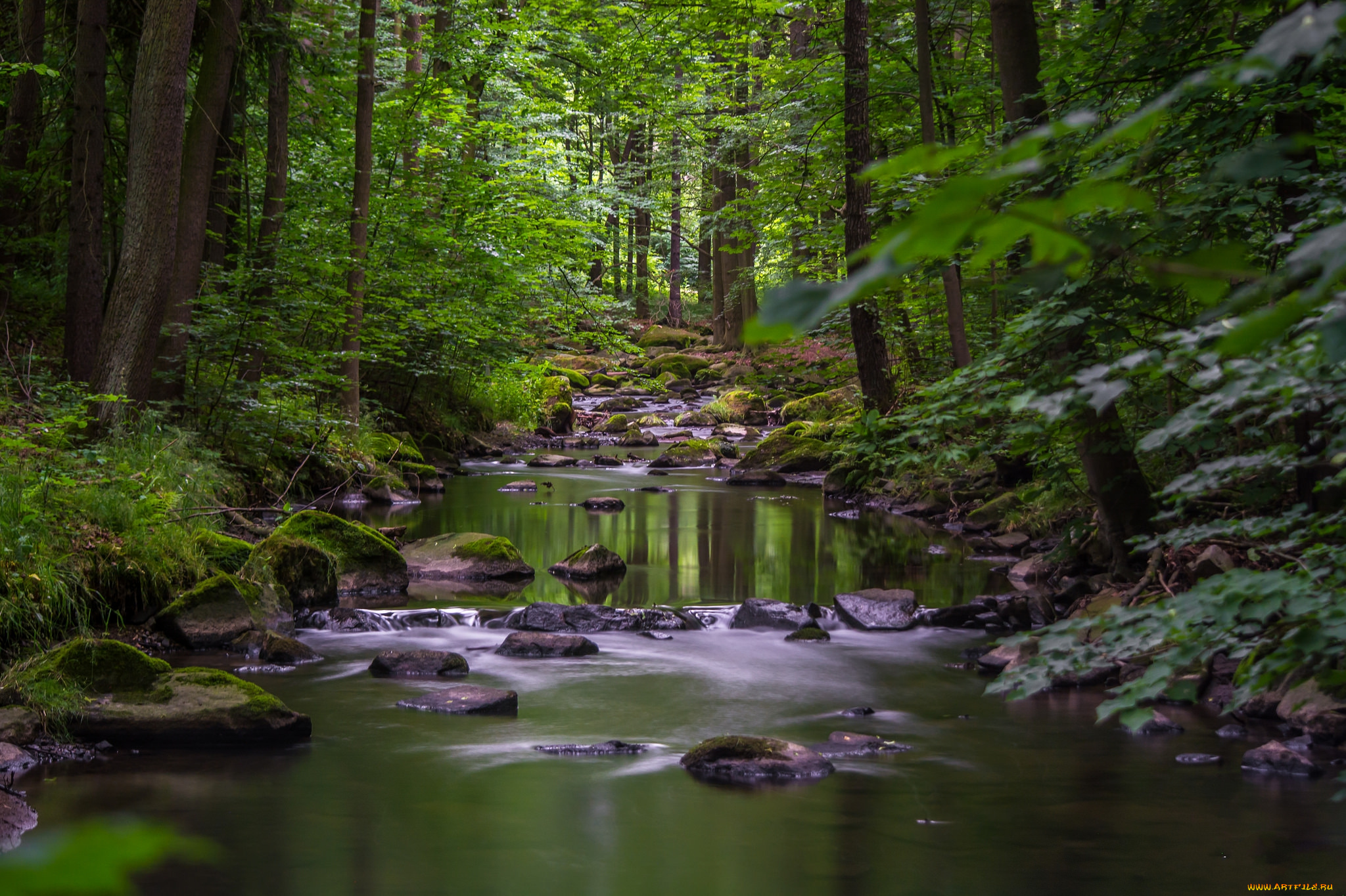 природа, реки, озера, простор