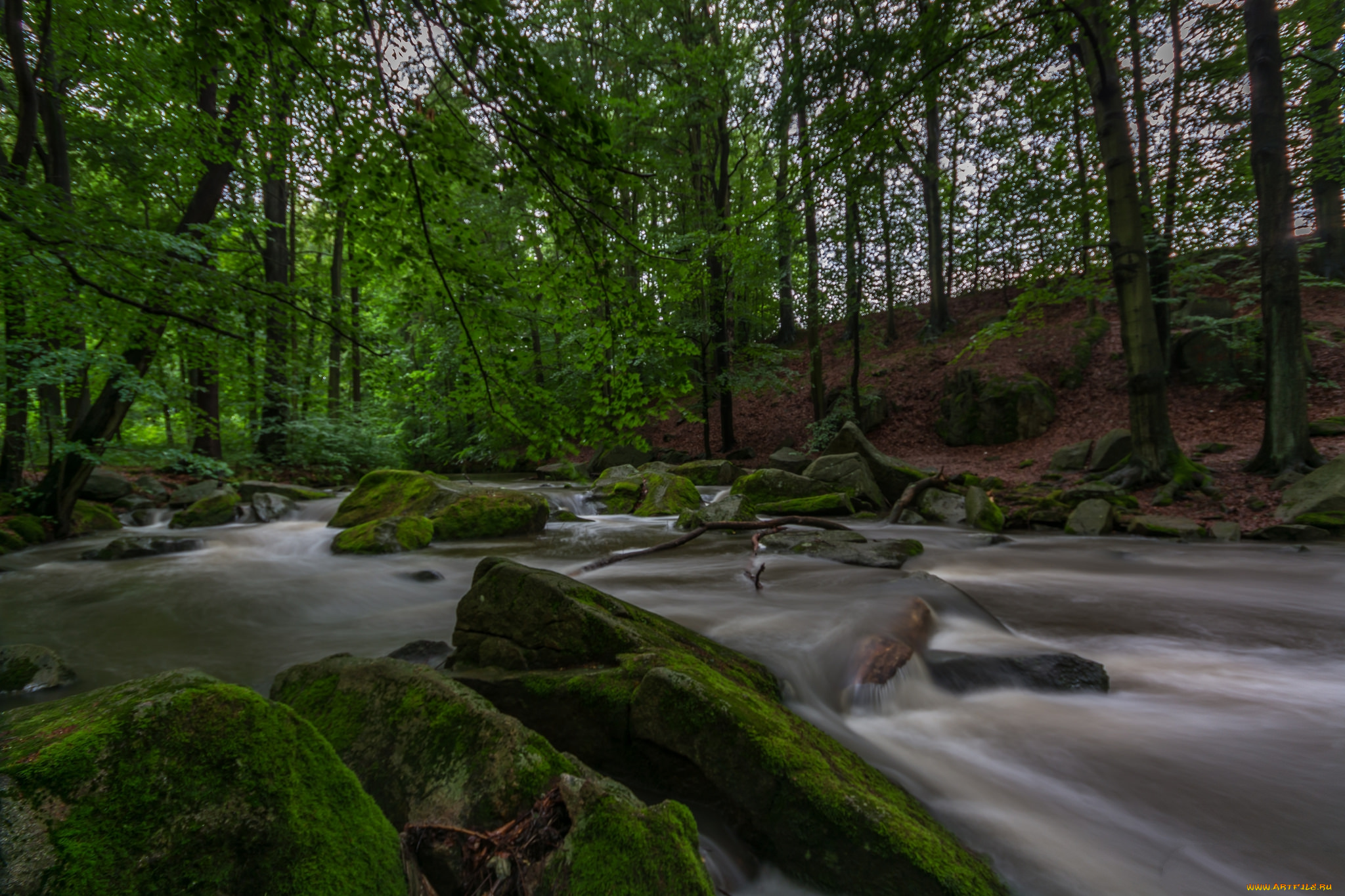 природа, реки, озера, простор